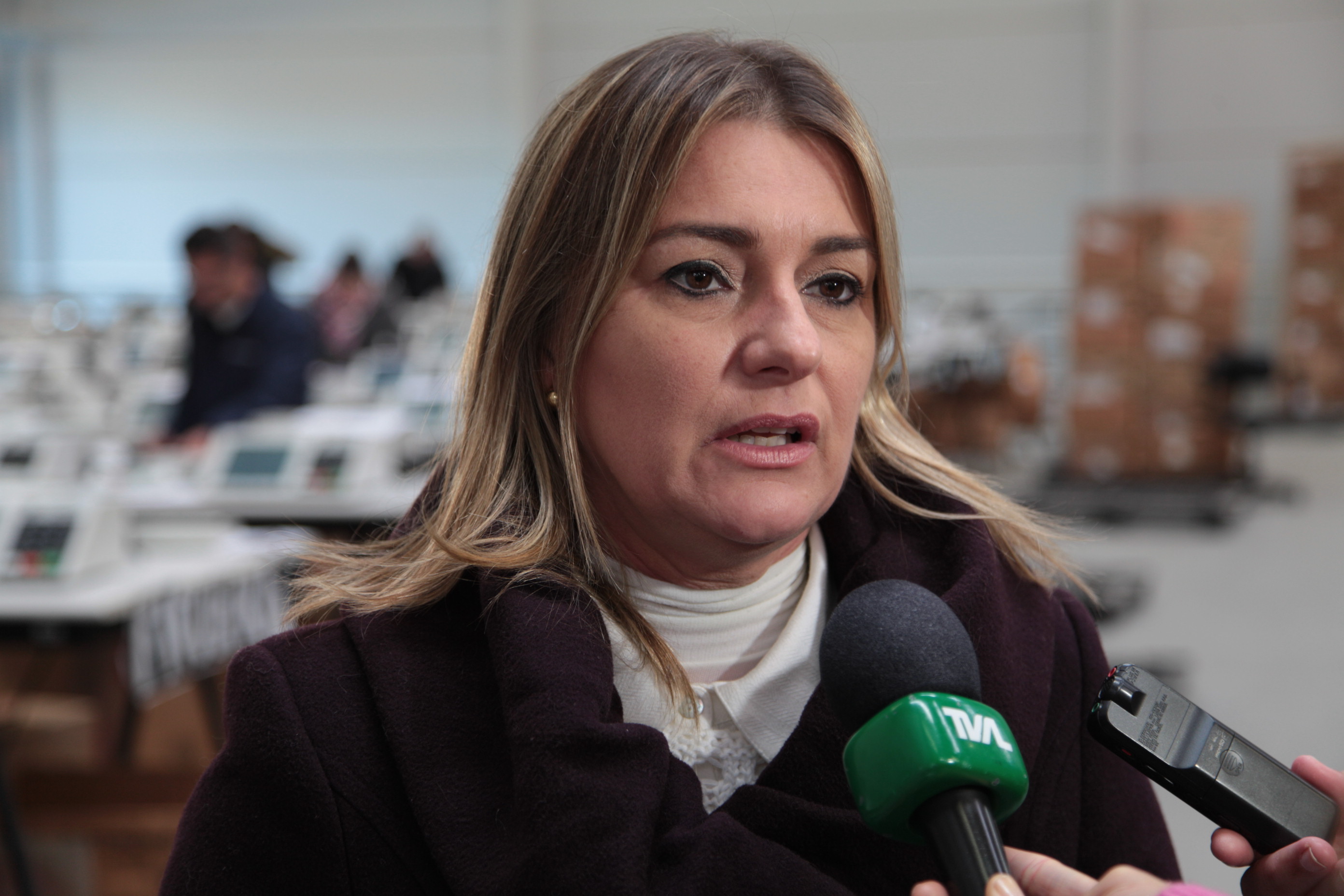 TRE - Testes das Urnas Eletrônicas - Patrícia Lisbôa