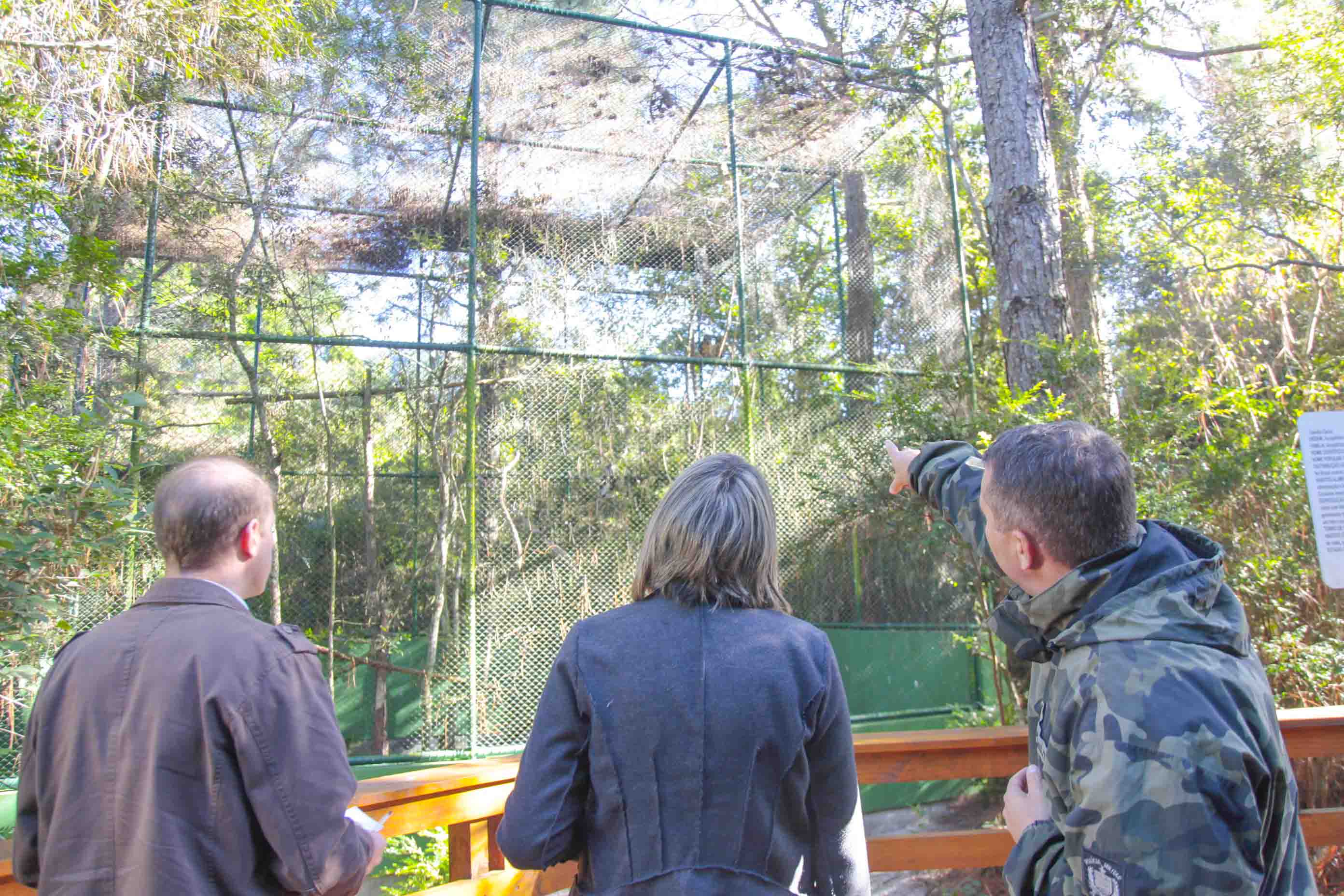 Polícia Militar Ambiental recupera Pássaros Silvestres