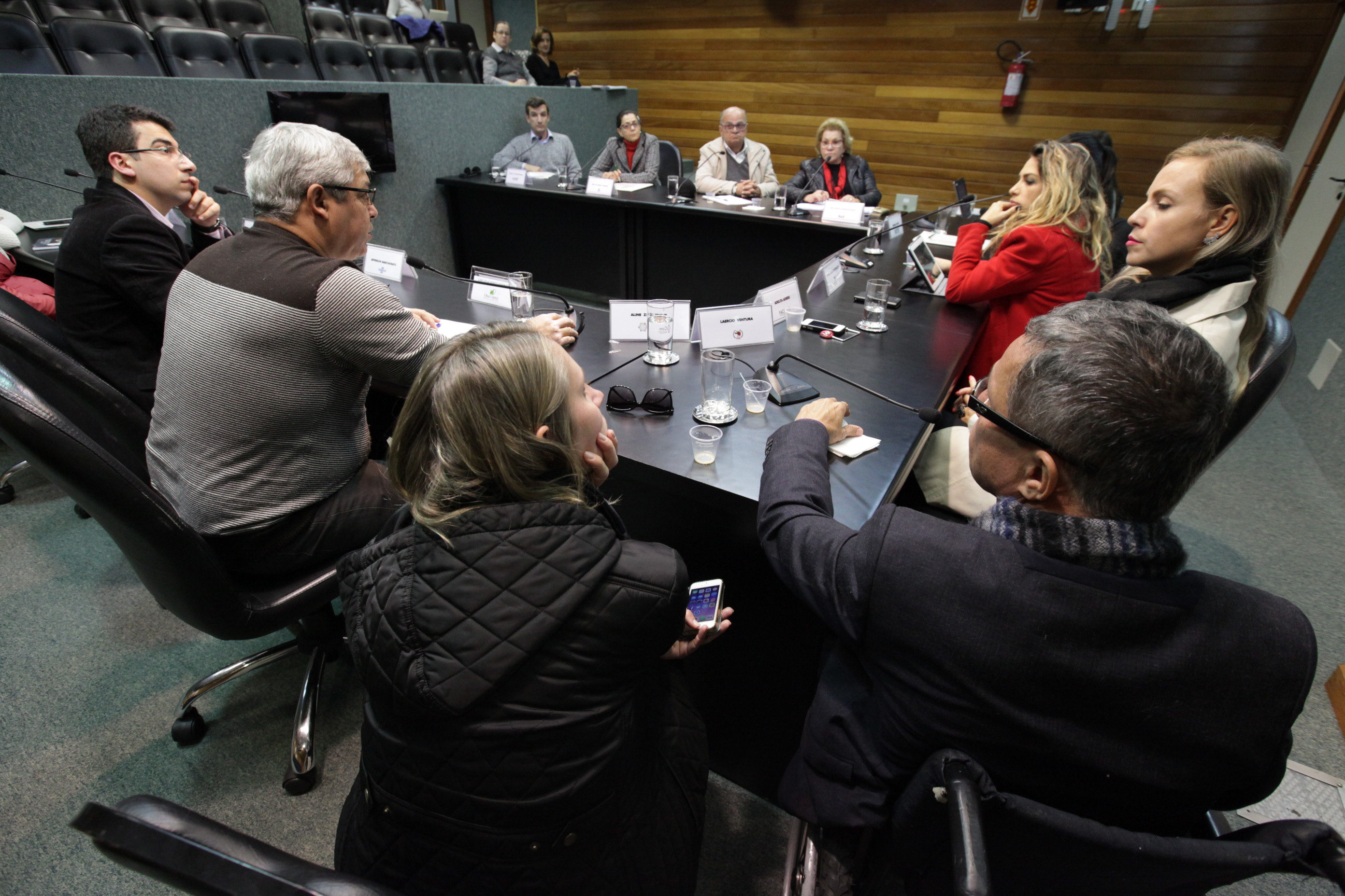Comissão Mista de Responsabilidade Social.