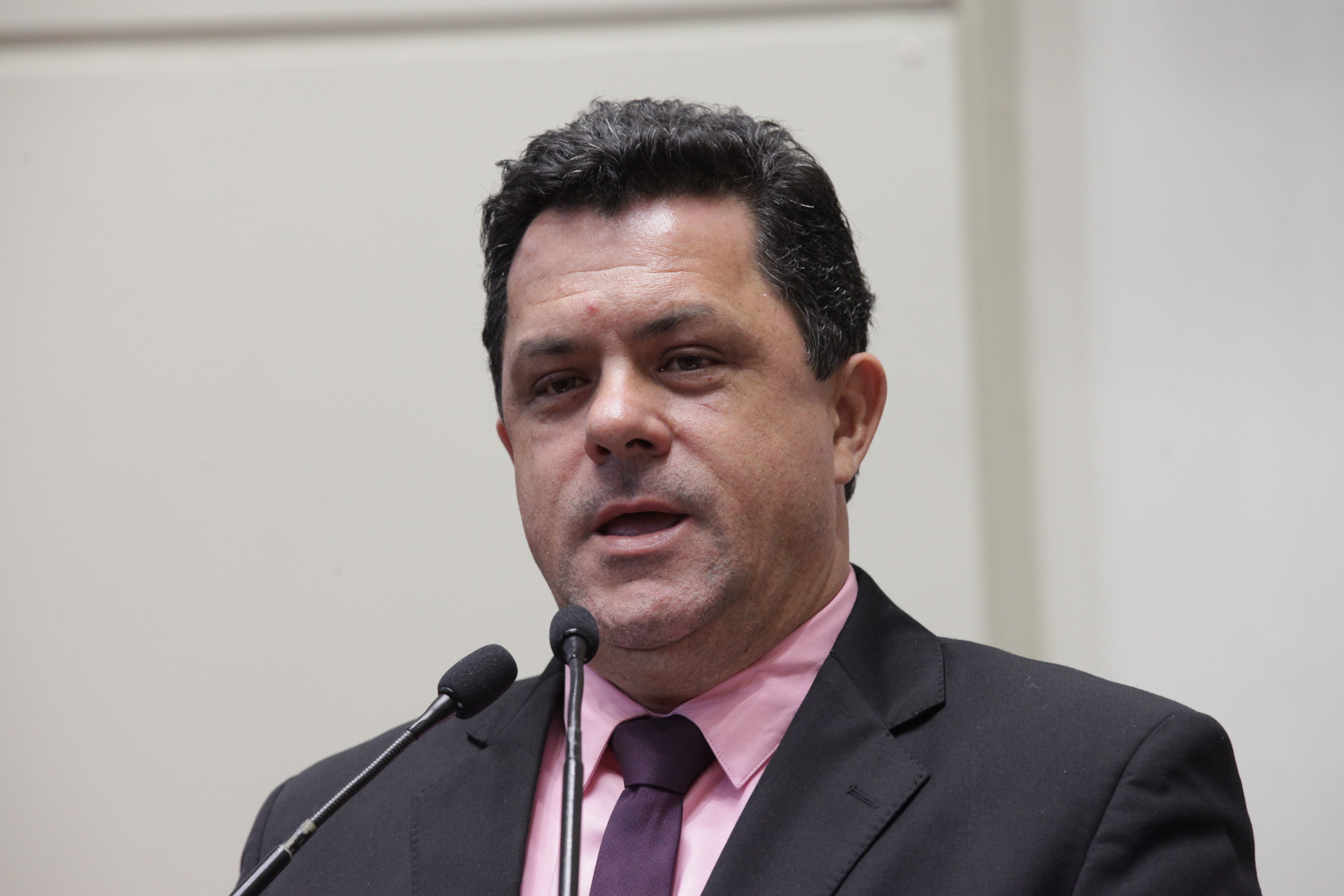 Sessão Ordinária. Deputado Ivan Naatz (PDT)
