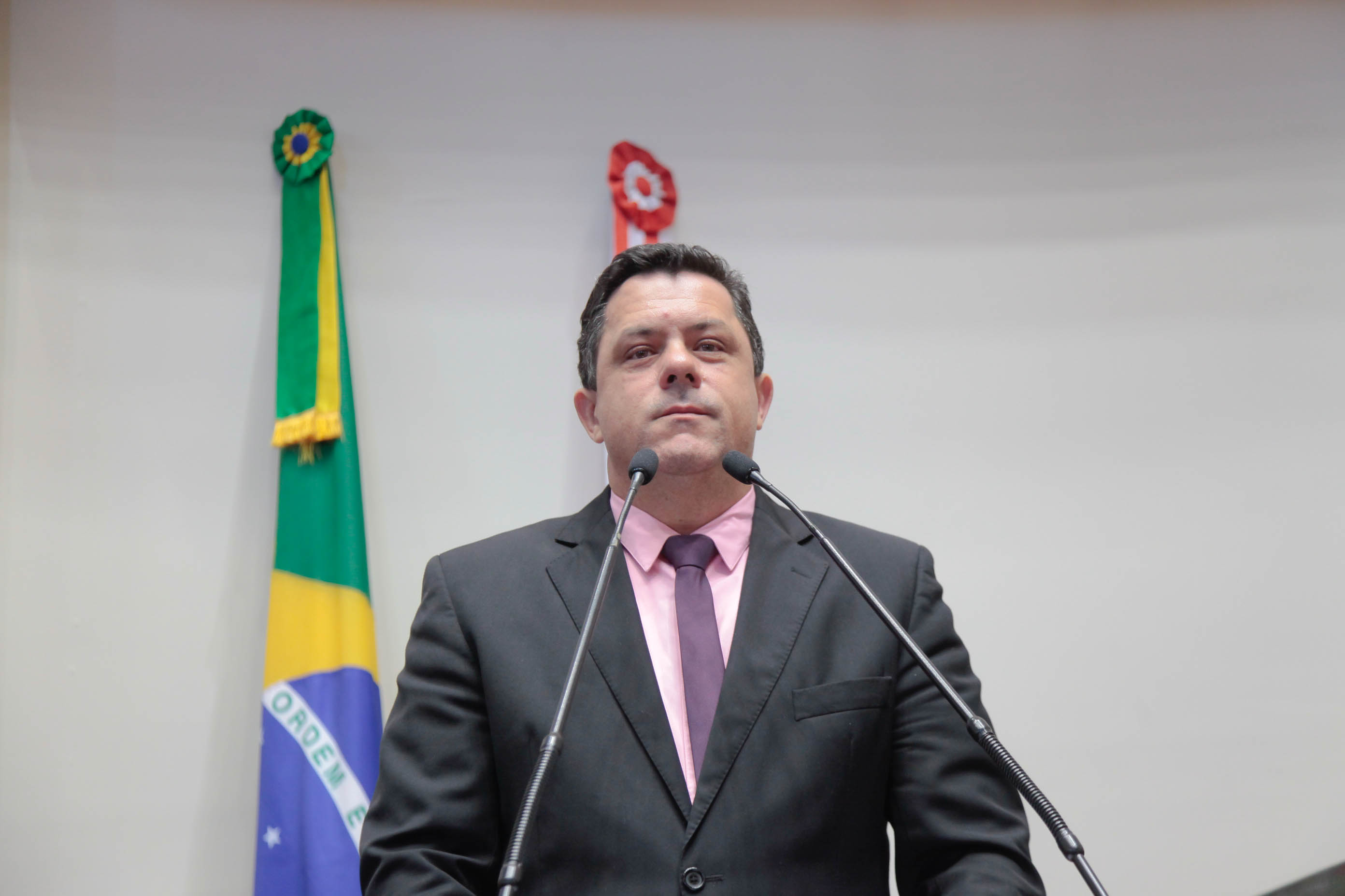 Deputado Ivan Naatz (PDT) em Sessão Ordinária