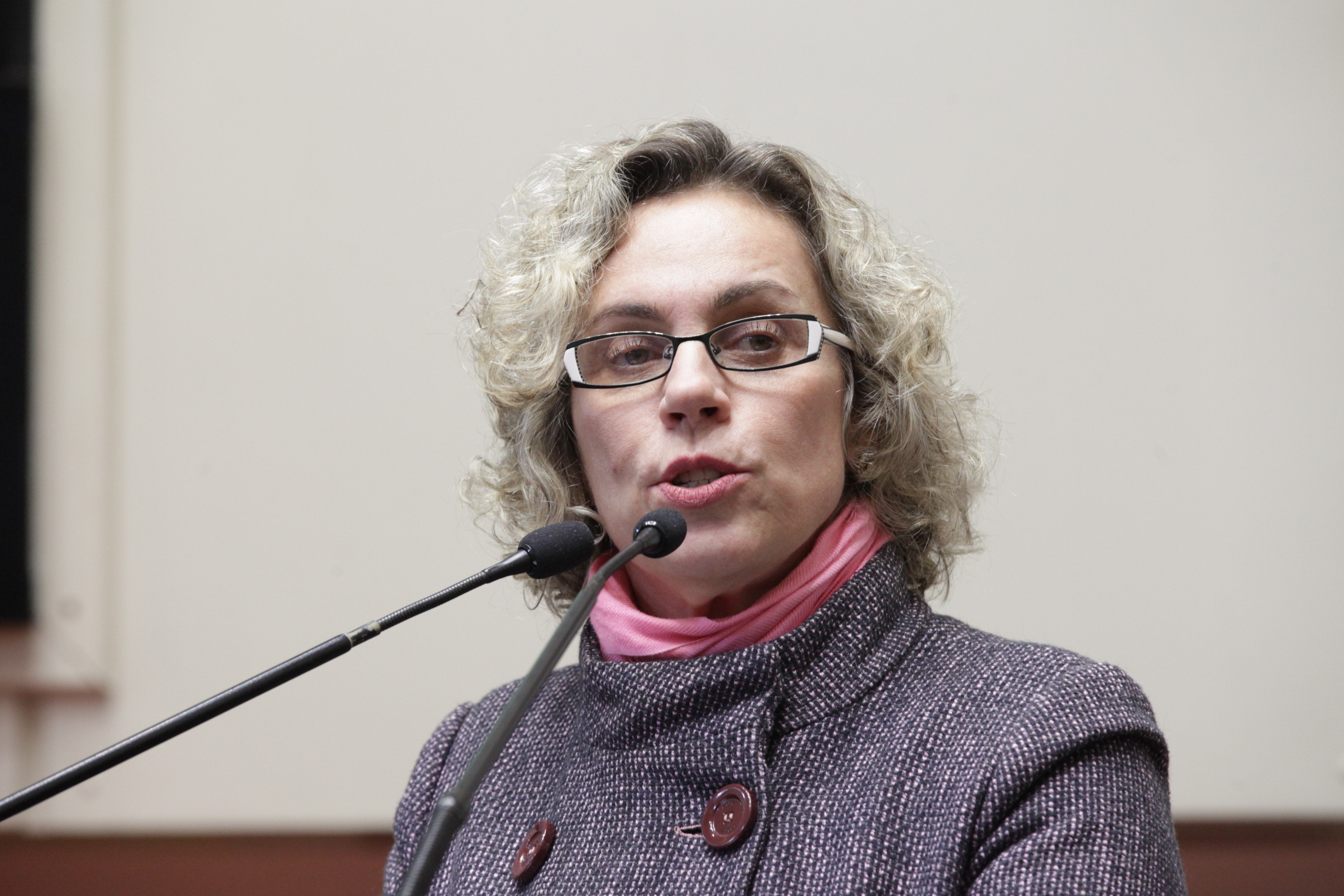 Sessão Ordinária. Deputada Ana Paula Lima (PT).