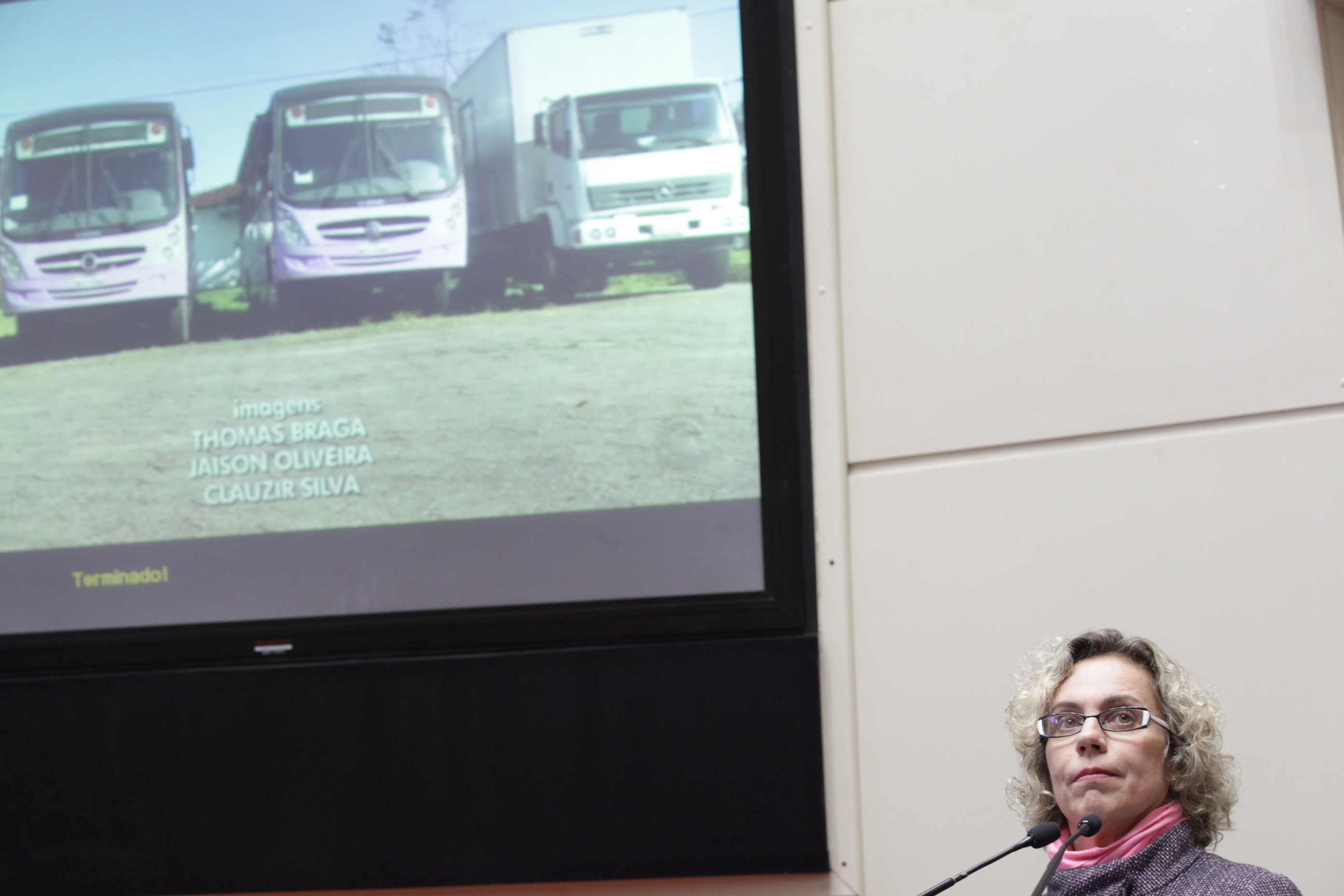 Sessão Ordinária. Deputada Ana Paula Lima (PT).