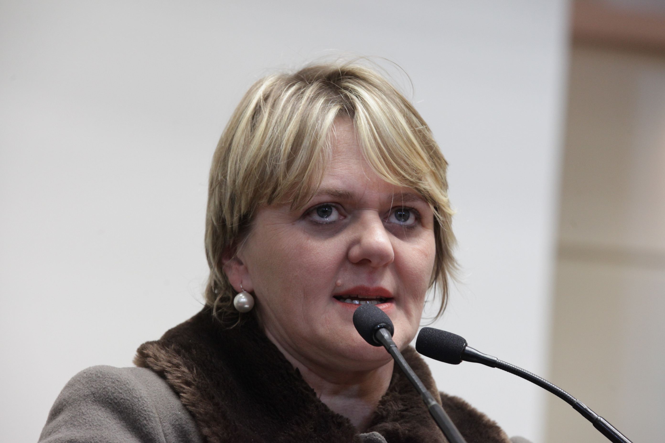 Sessão Ordinária. Deputada Luciane Carminatti (PT).