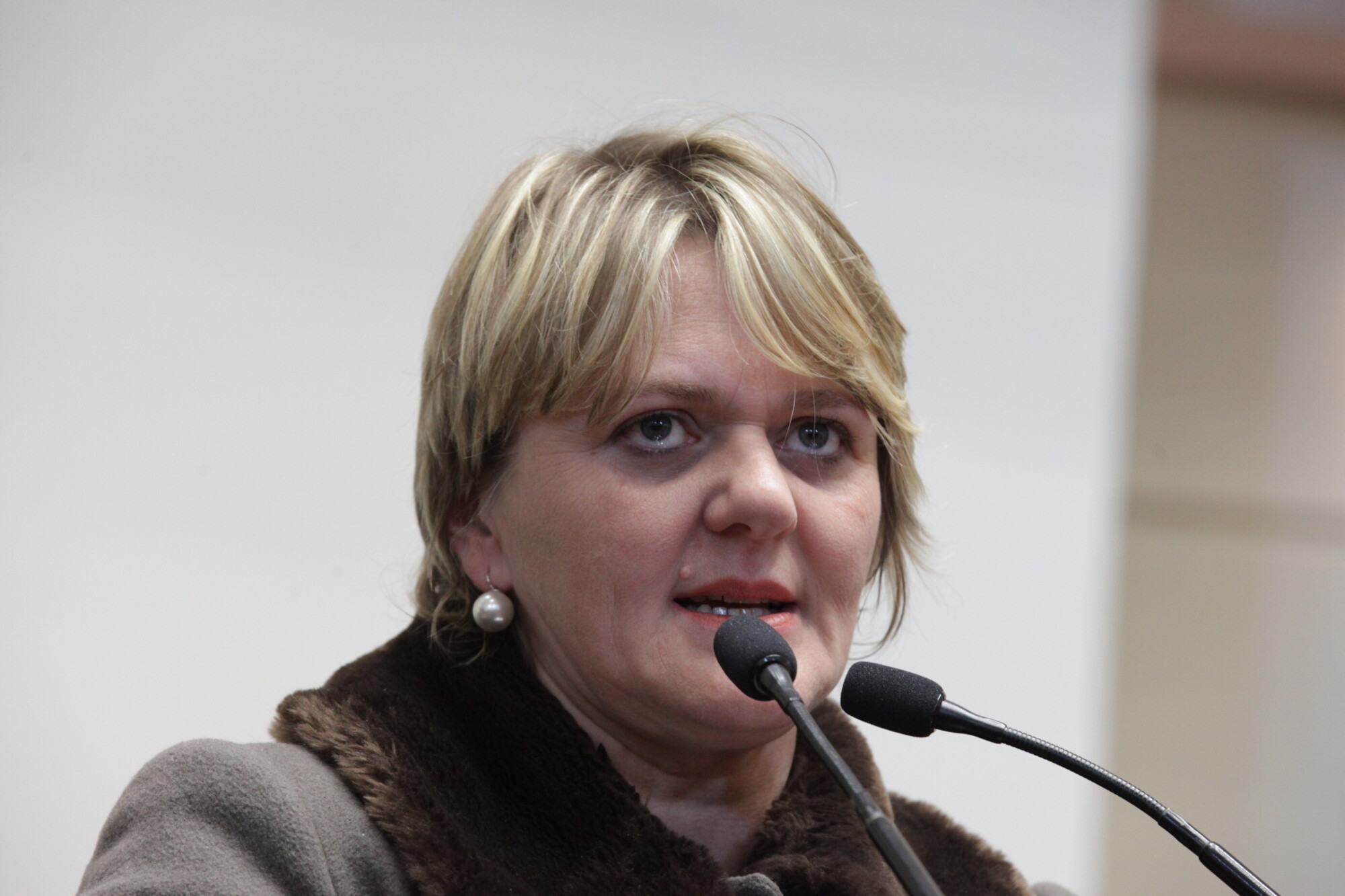 Deputada Luciane Carminatti