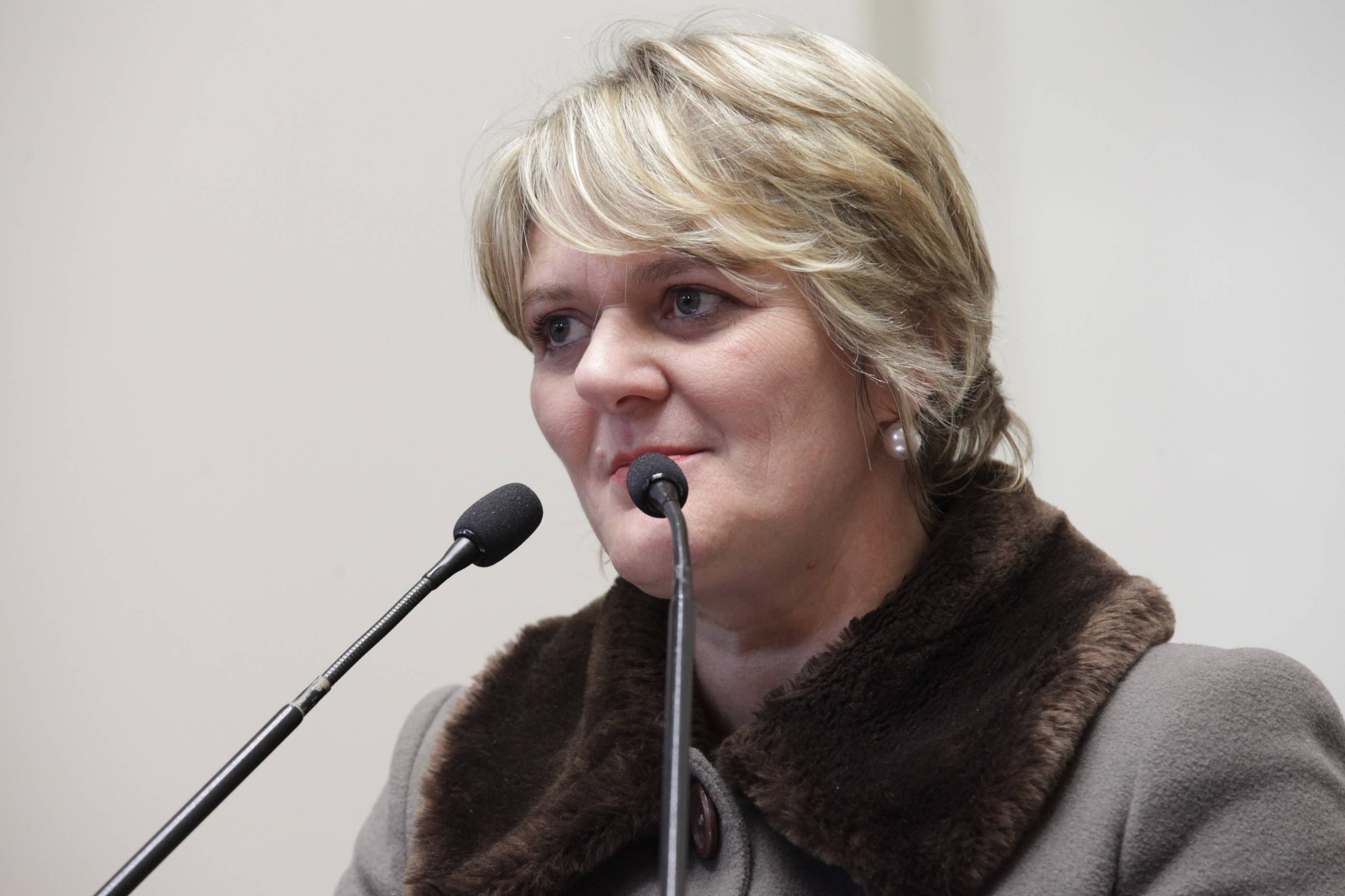 Sessão Ordinária. Deputada Luciane Carminatti (PT).