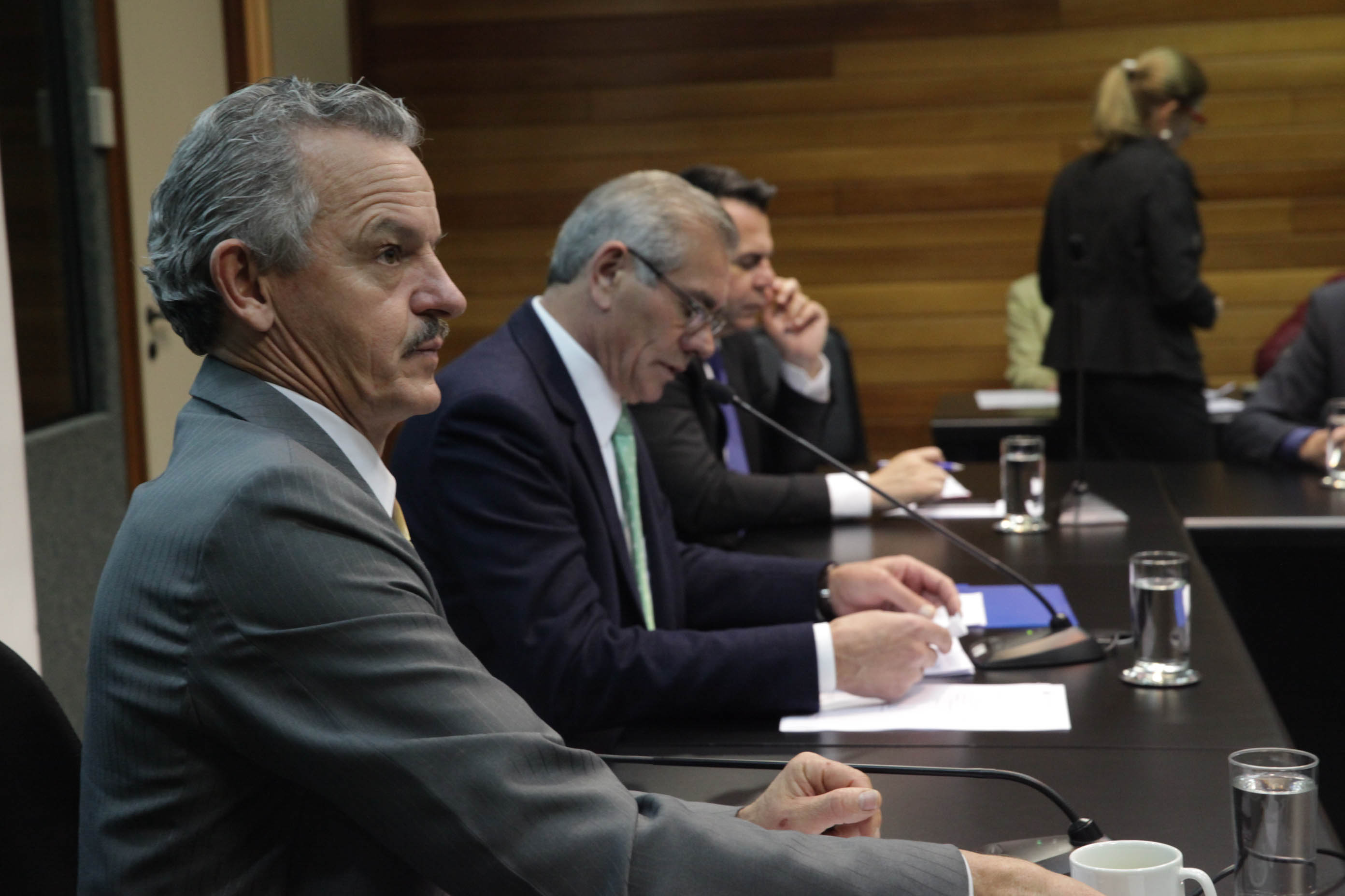 Comissão de Economia, Ciência, Tecnologia, Minas e Energia.