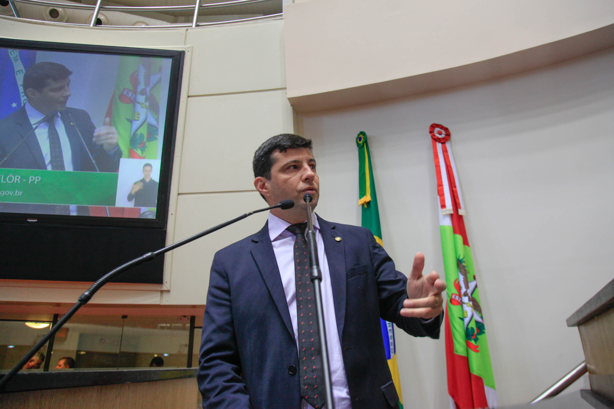 Deputado Fábio Flôr
