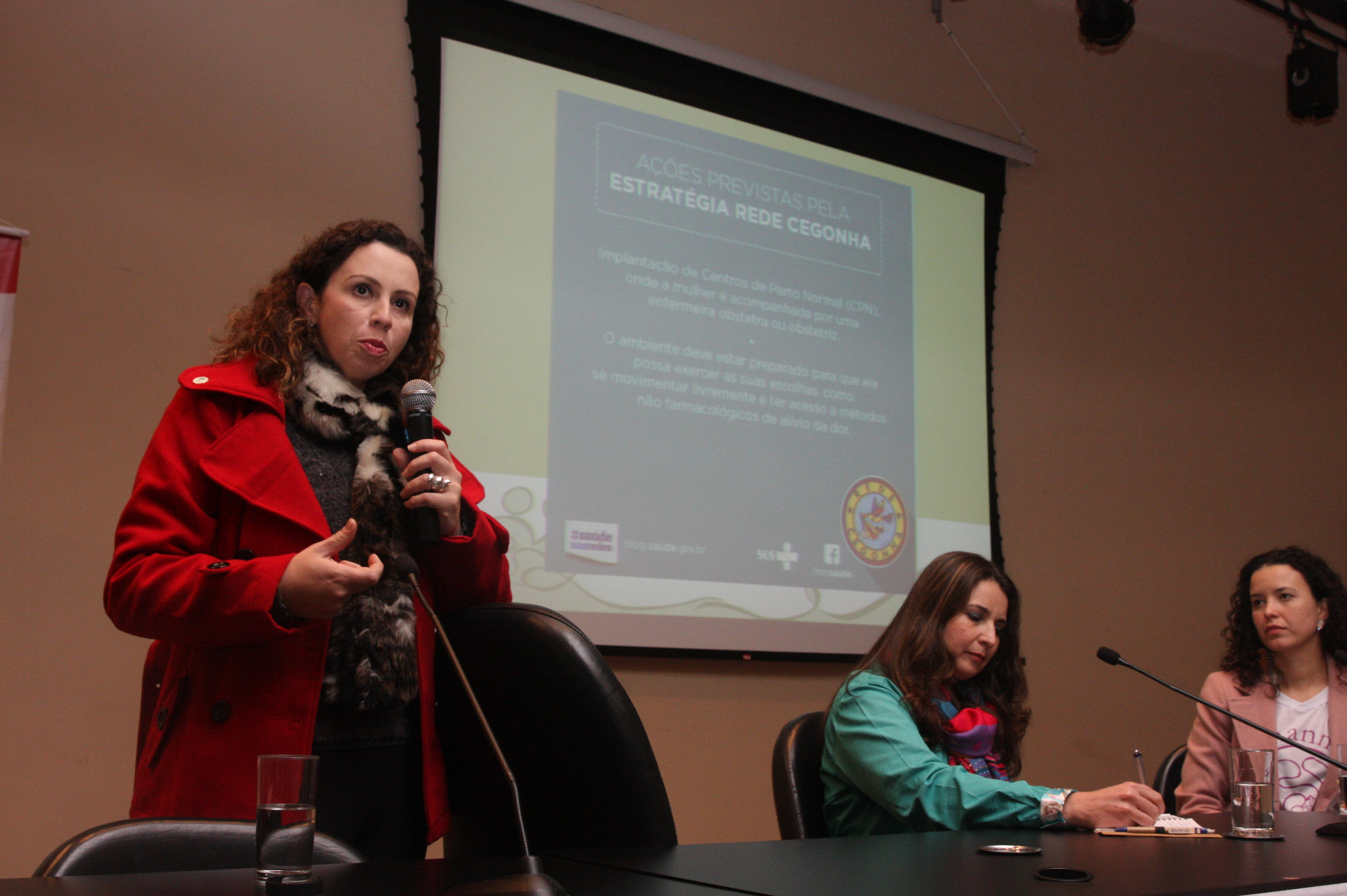 2º Congresso Nacional Parto Humanizado. Karin Godarth.