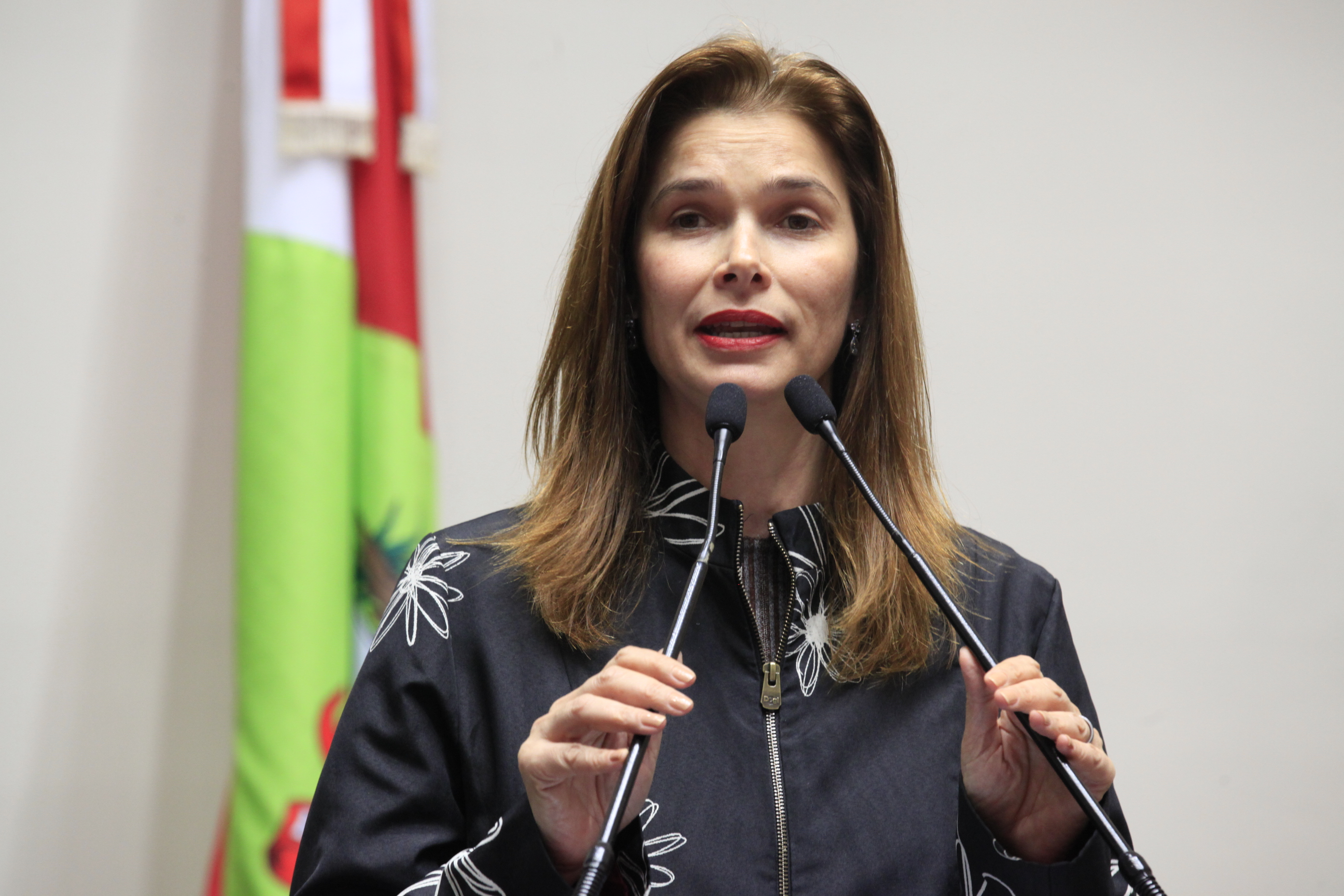 Audiência Pública sobre Direito dos Trabalhadores, Previdência Social e Trabalho Escravo.  Angela Albino.