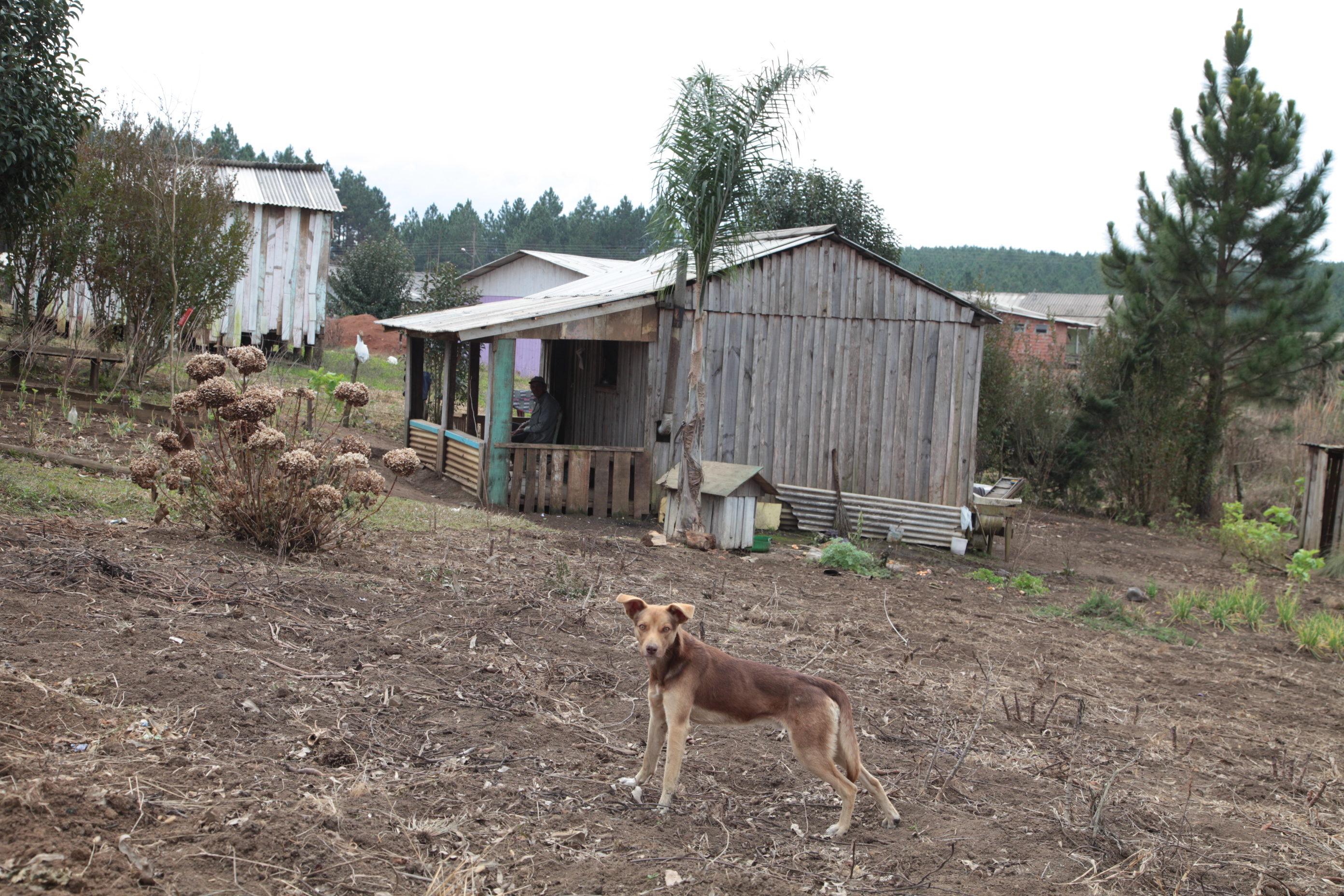 Bairro do Núcleo Rio Doce, em Lebon Régis, onde familias receberam os títulos de propriedade.
