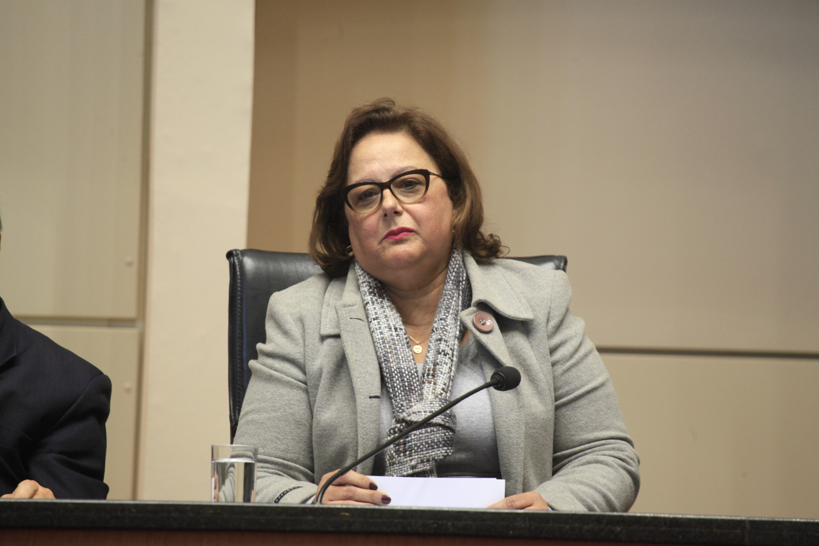 Audiência Publica discute a situação dos Beach Clubs na Praia de Jurerê Internacional. 
Deputada Dirce Heiderscheidt (PMDB). Foto: Daniella Coriolano/ Agência AL
