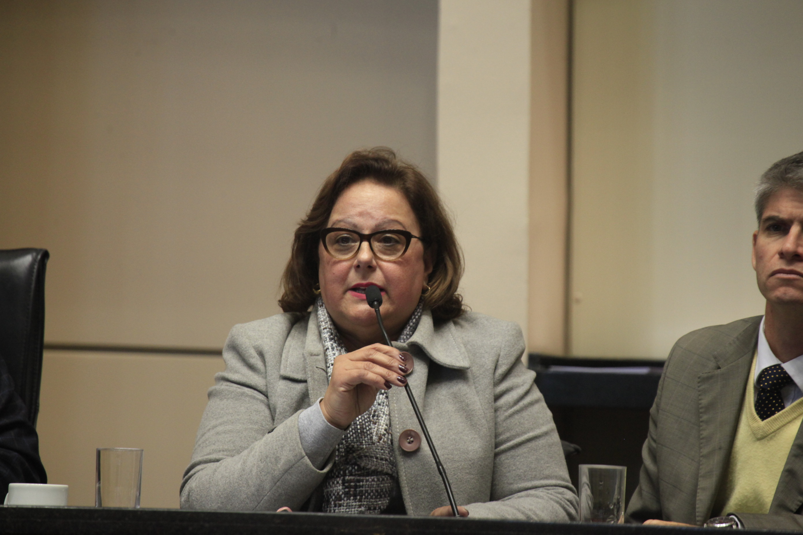 Audiência Publica discute a situação dos Beach Clubs na Praia de Jurerê Internacional. Deputada Dirce Heiderscheidt (PMDB). Foto: Daniella Coriolano/ Agência AL