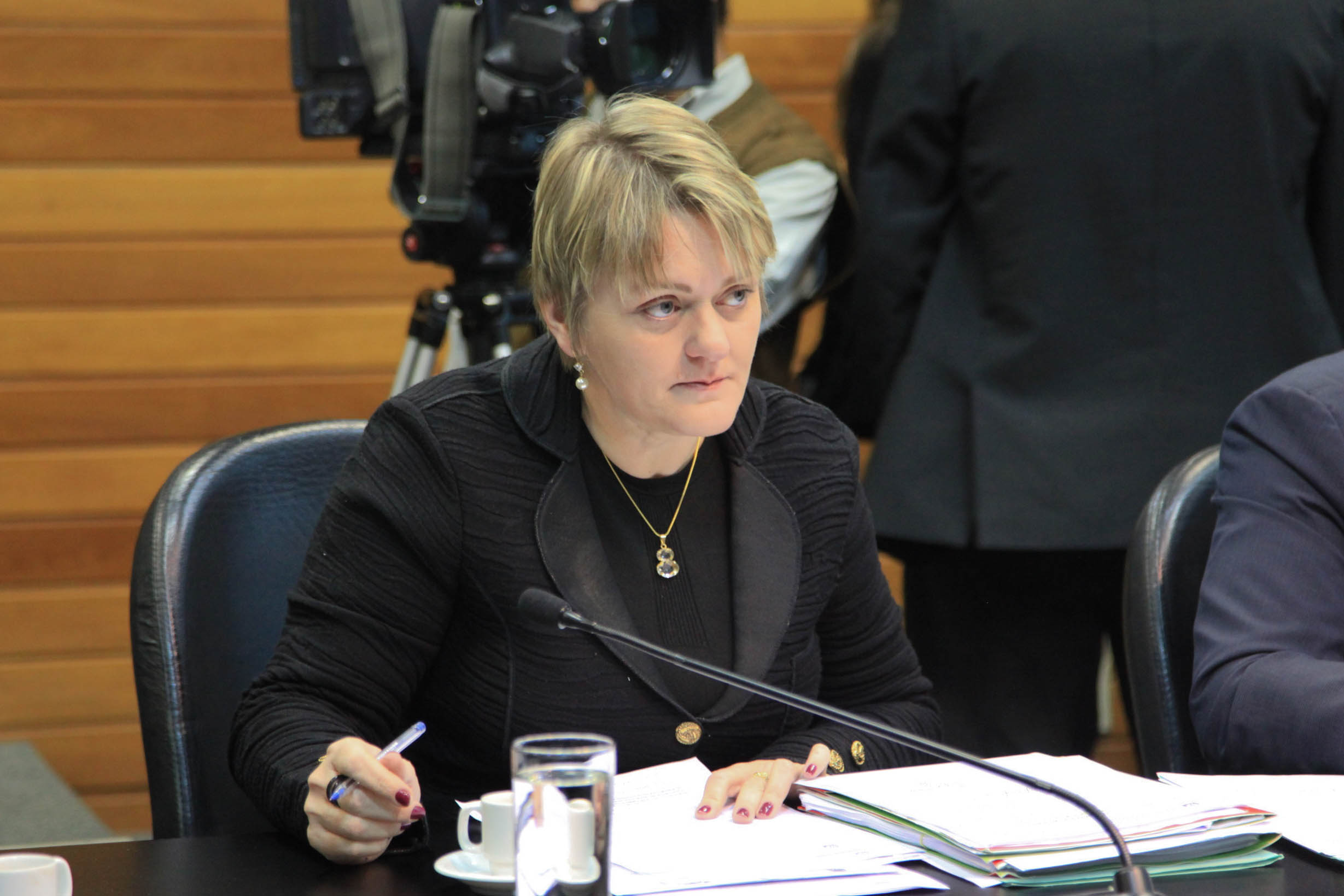 Deputada Luciane Carminatti (PT) em Comissão de Constituição e Justiça