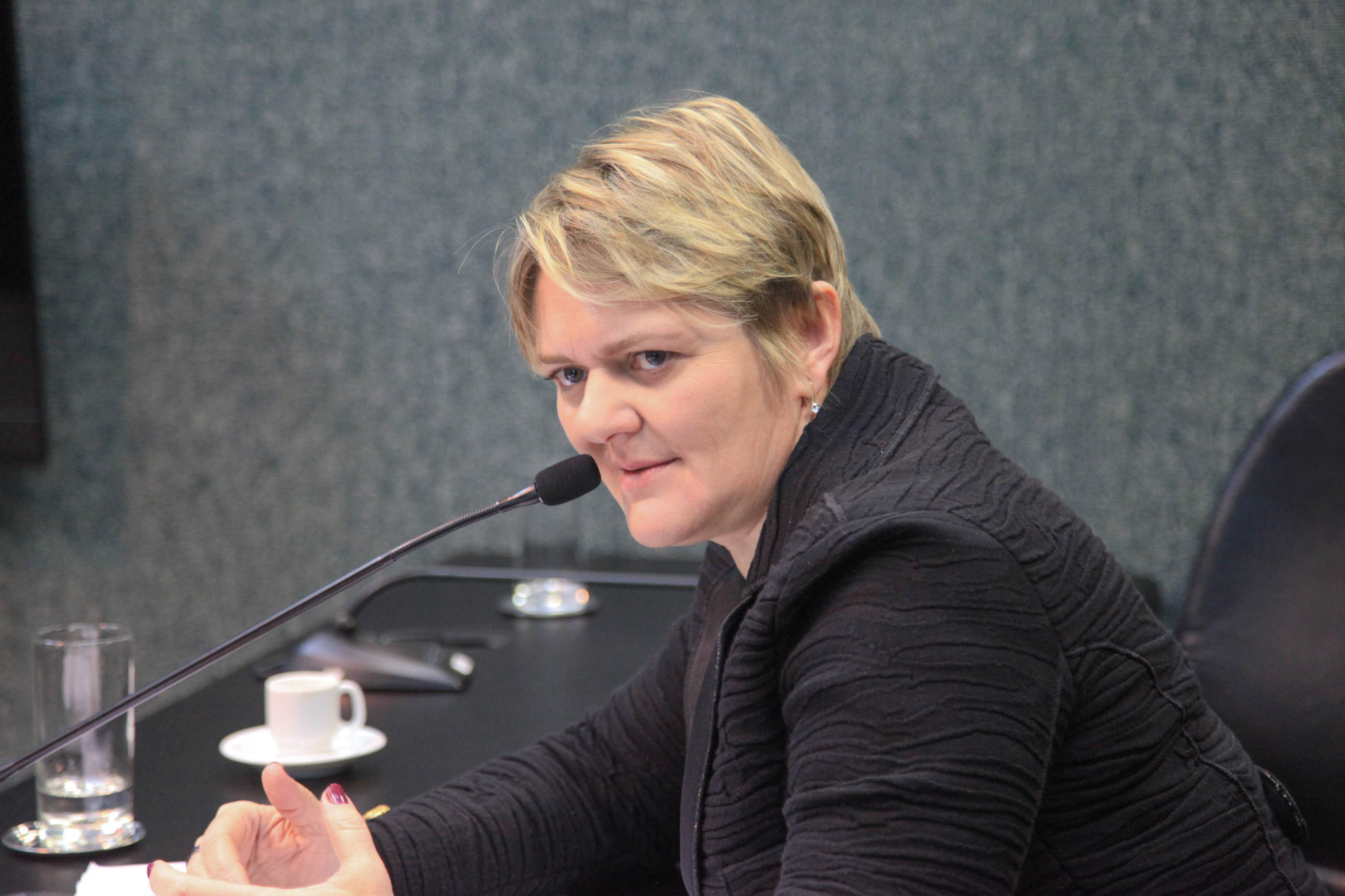 Deputada Luciane Carminatti (PT) em Comissão de Constituição e Justiça