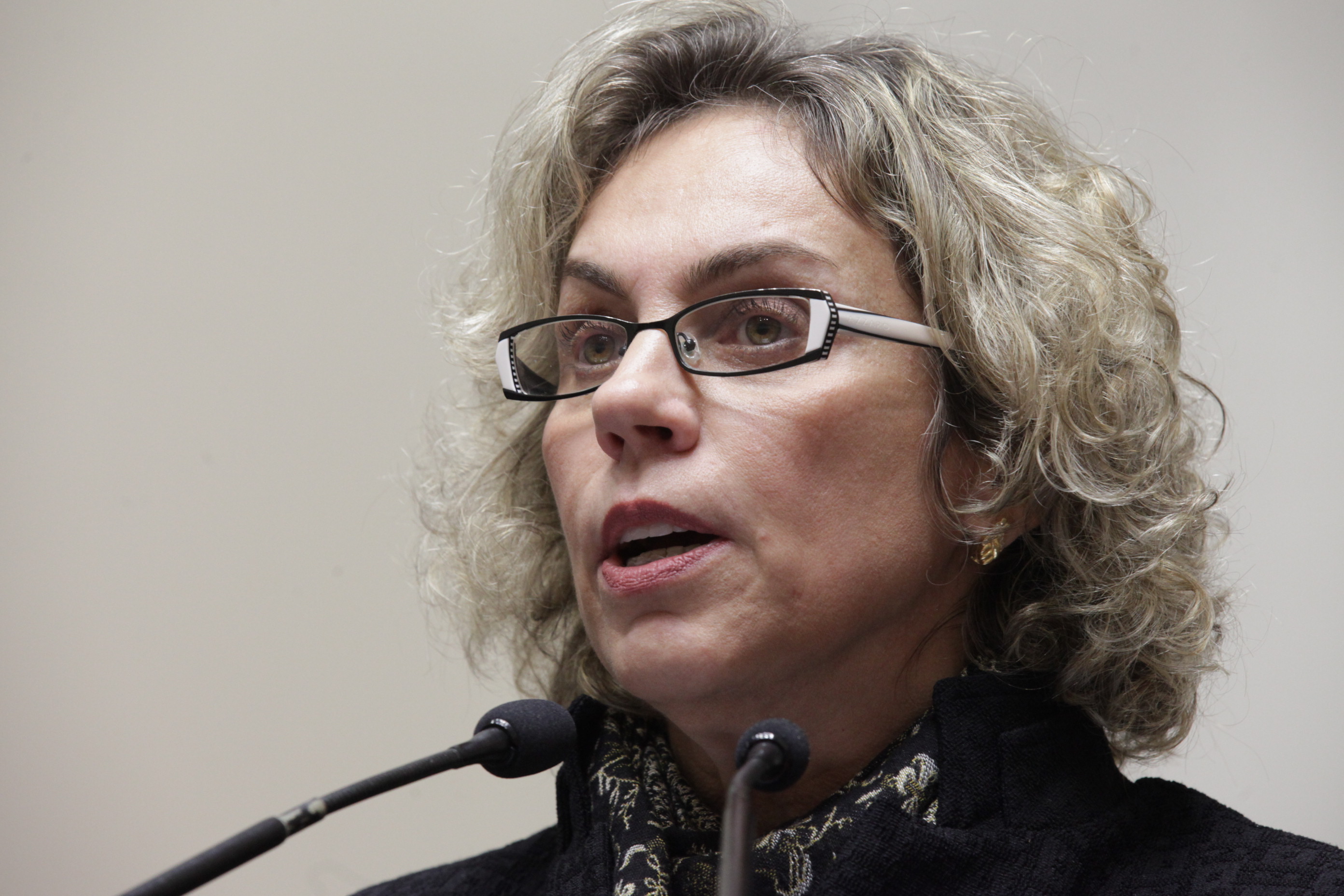 Sessão Ordinária. Deputada Ana Paula Lima (PT).