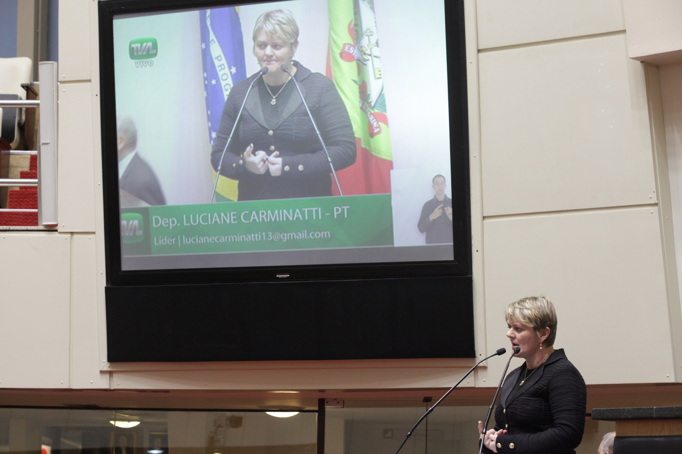 Sessão Ordinária. Deputada Luciane Carminatti (PT).