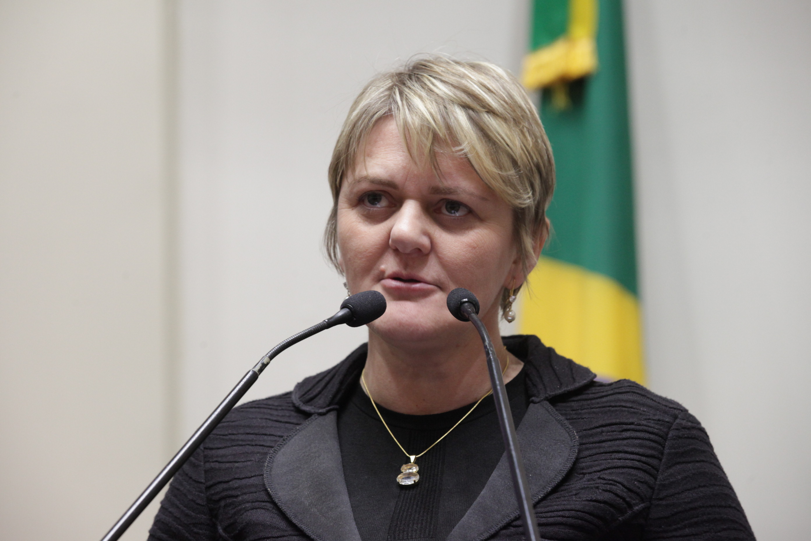 Sessão Ordinária.Deputada Luciane Carminatti (PT).