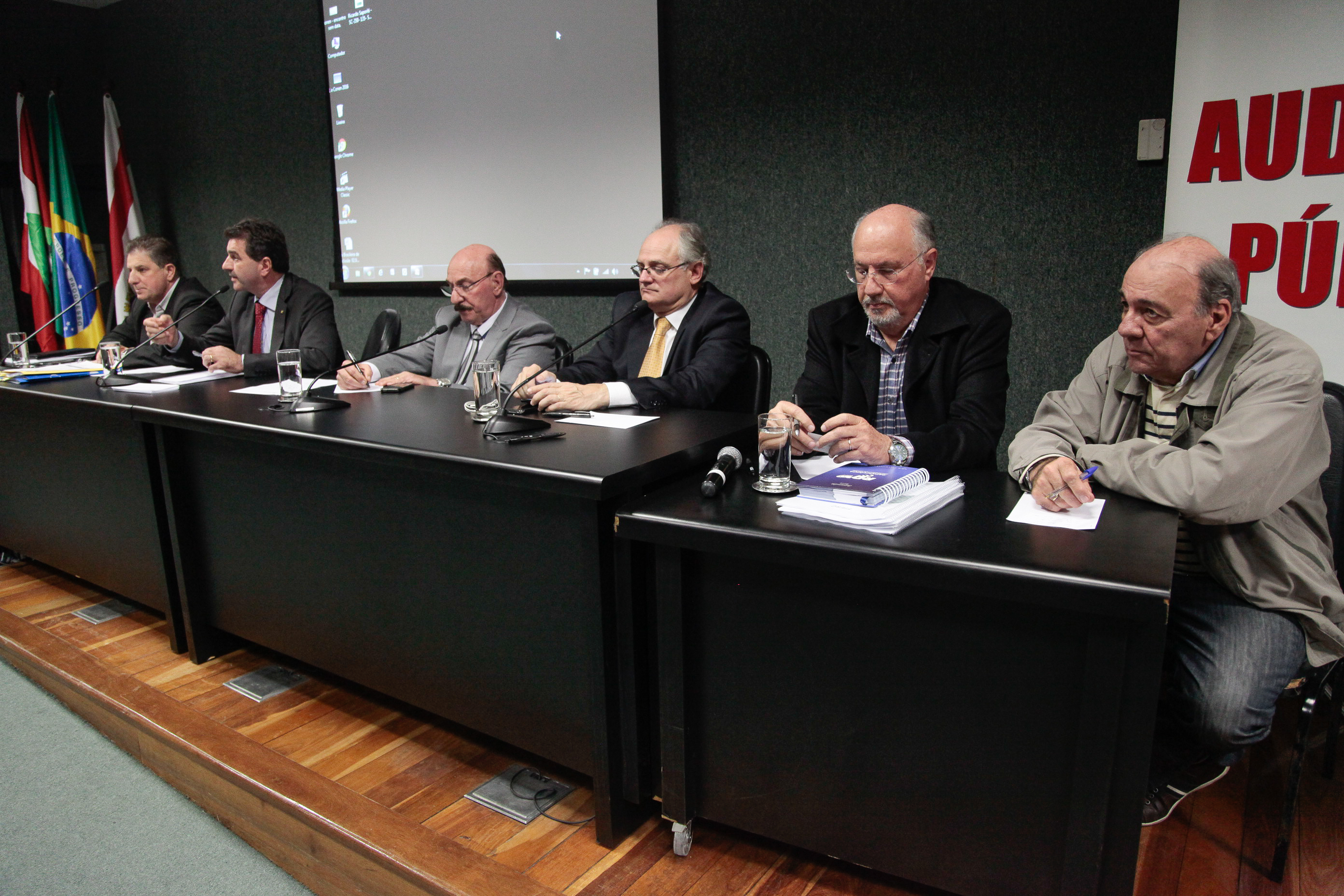 Audiência Pública promovida pela Comissão de Transportes.