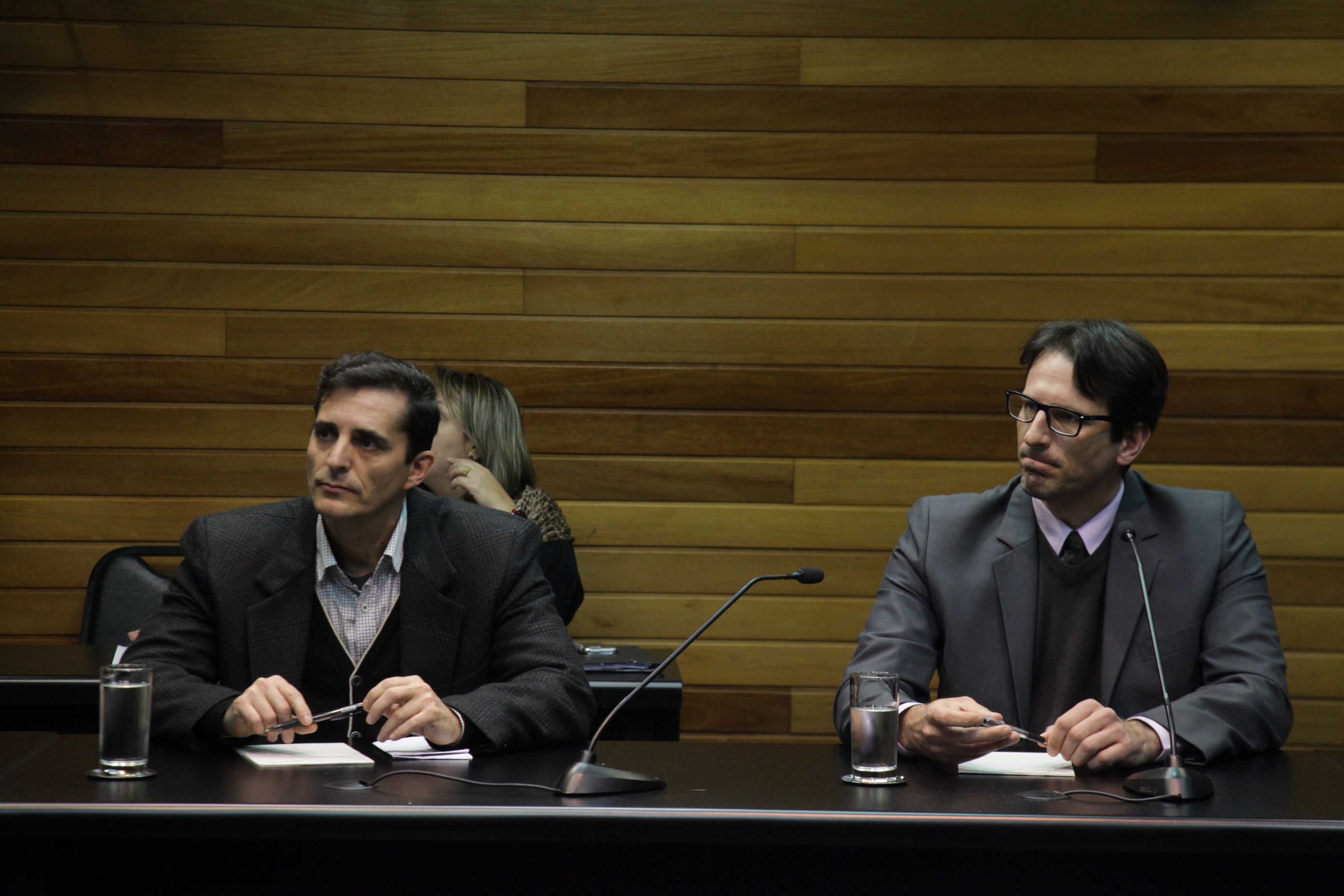 Comissão de Relacionamento Institucional, Comunicação, Relações Internacionais e do Mercosul.