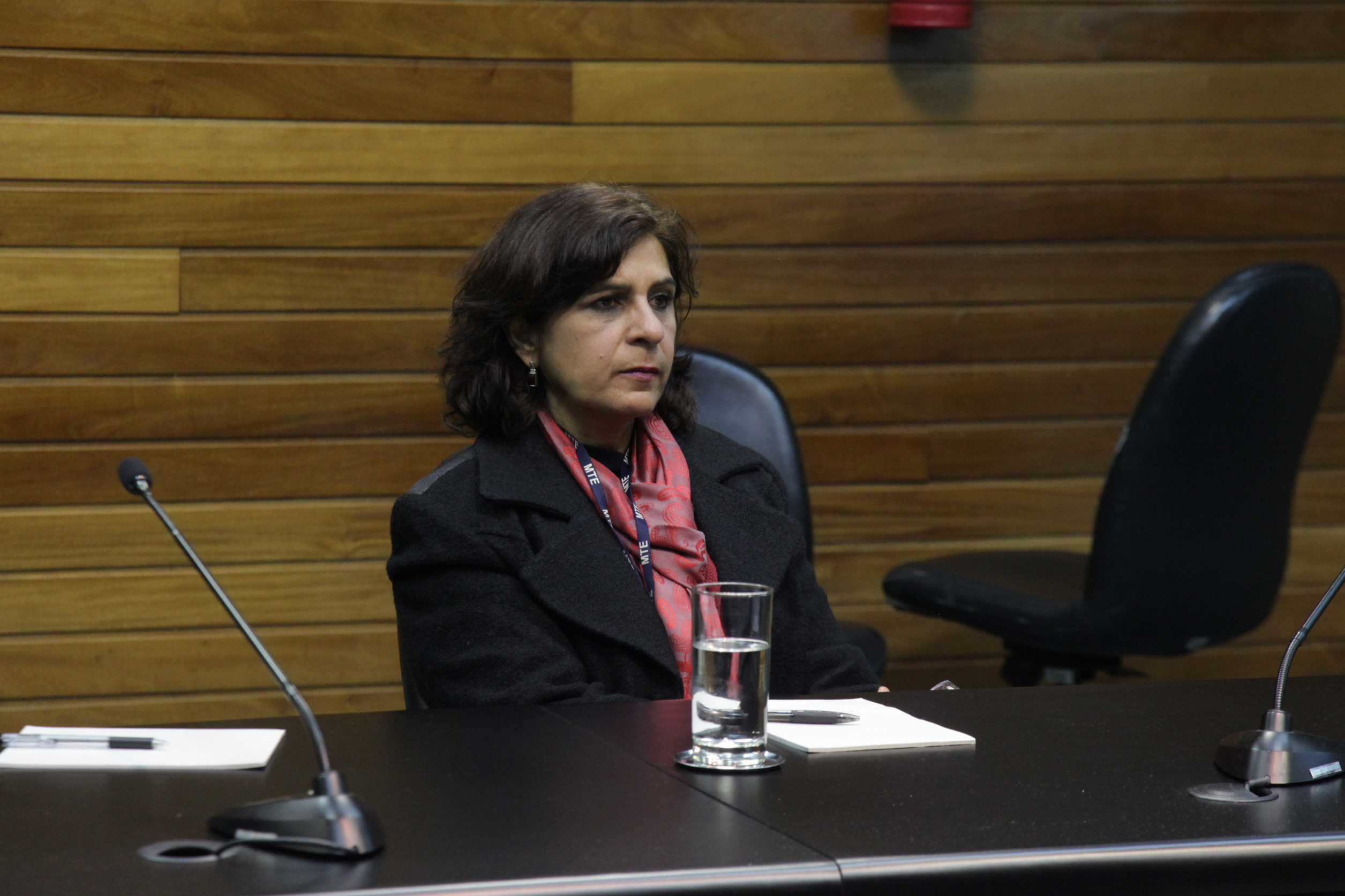 Comissão de Relacionamento Institucional, Comunicação, Relações Internacionais e do Mercosul.
