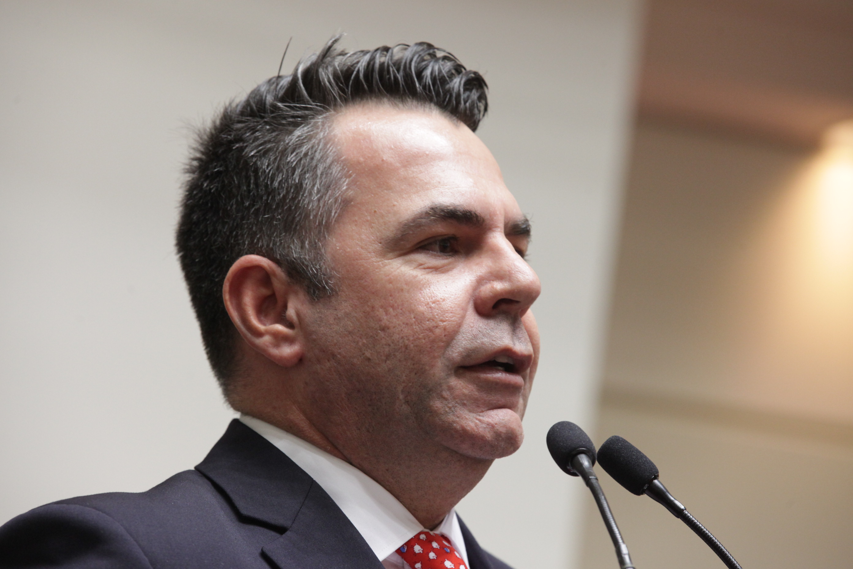 Sessão Ordinária. Deputado Luiz Fernando Vampiro (PMDB).