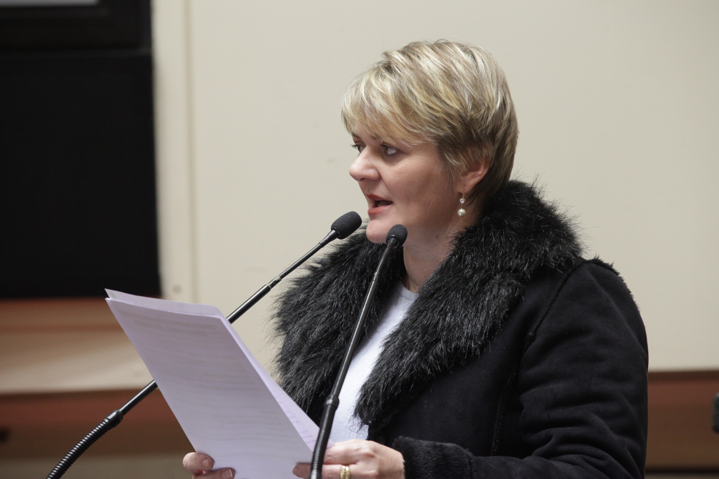 Sessão Ordinária. Deputada Luciane Carminatti (PT).