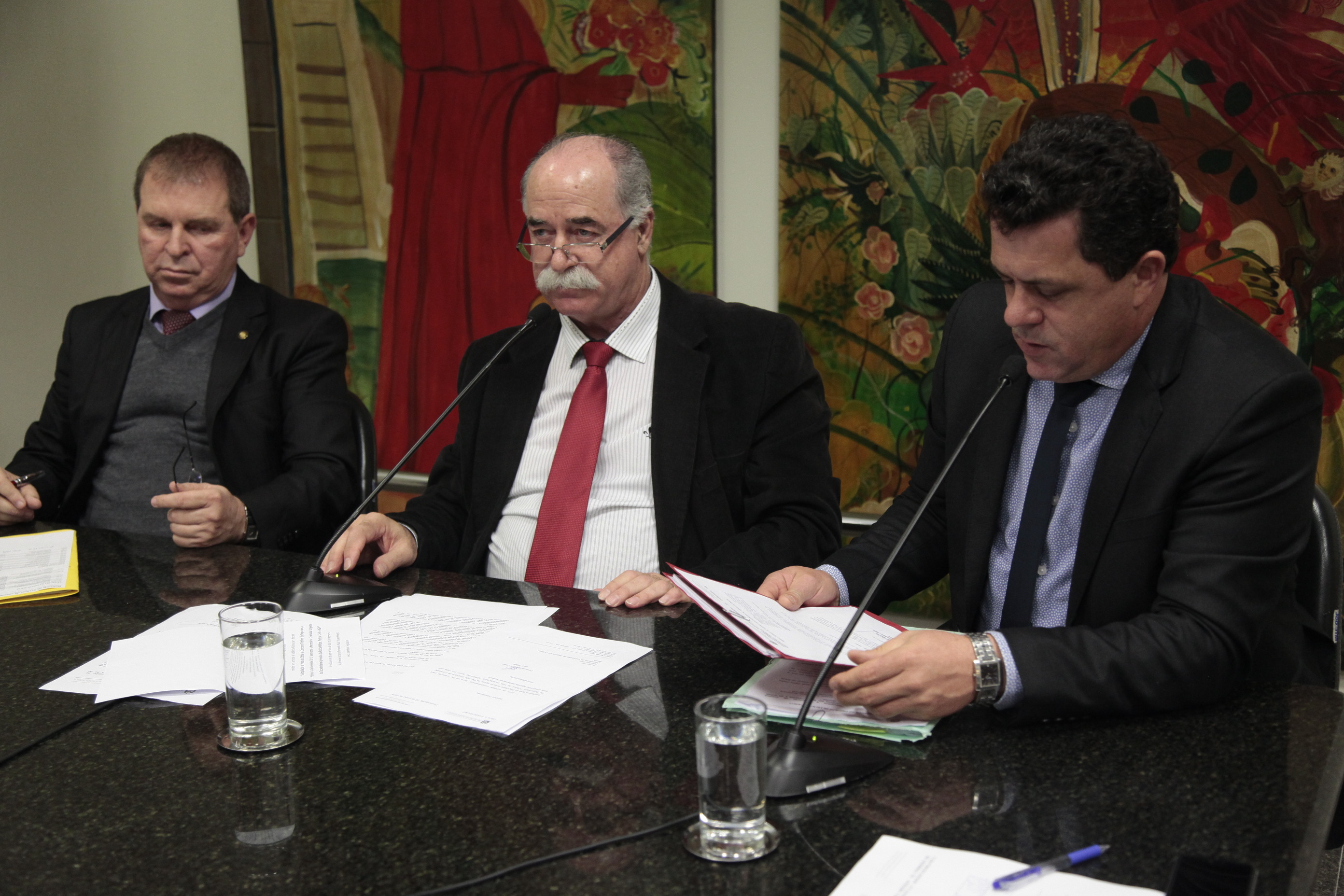 Reunião da Comissão de Segurança Pública.