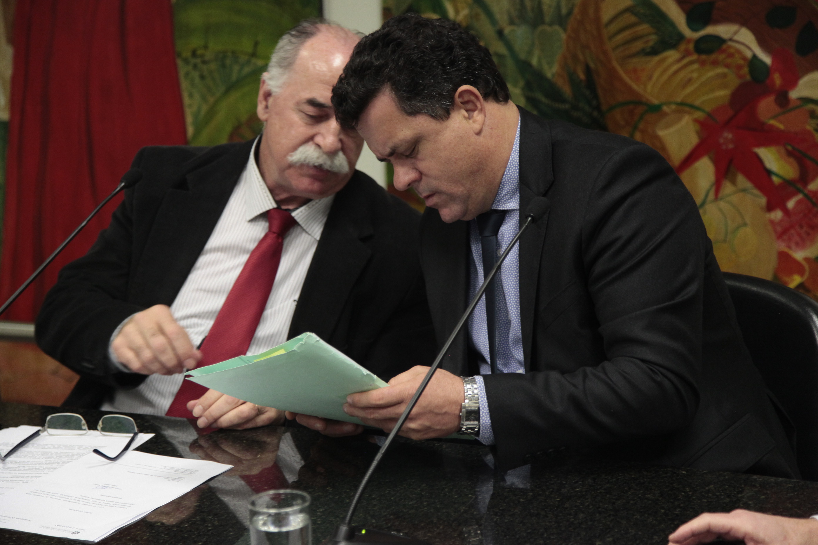 Reunião da Comissão de Segurança Pública.