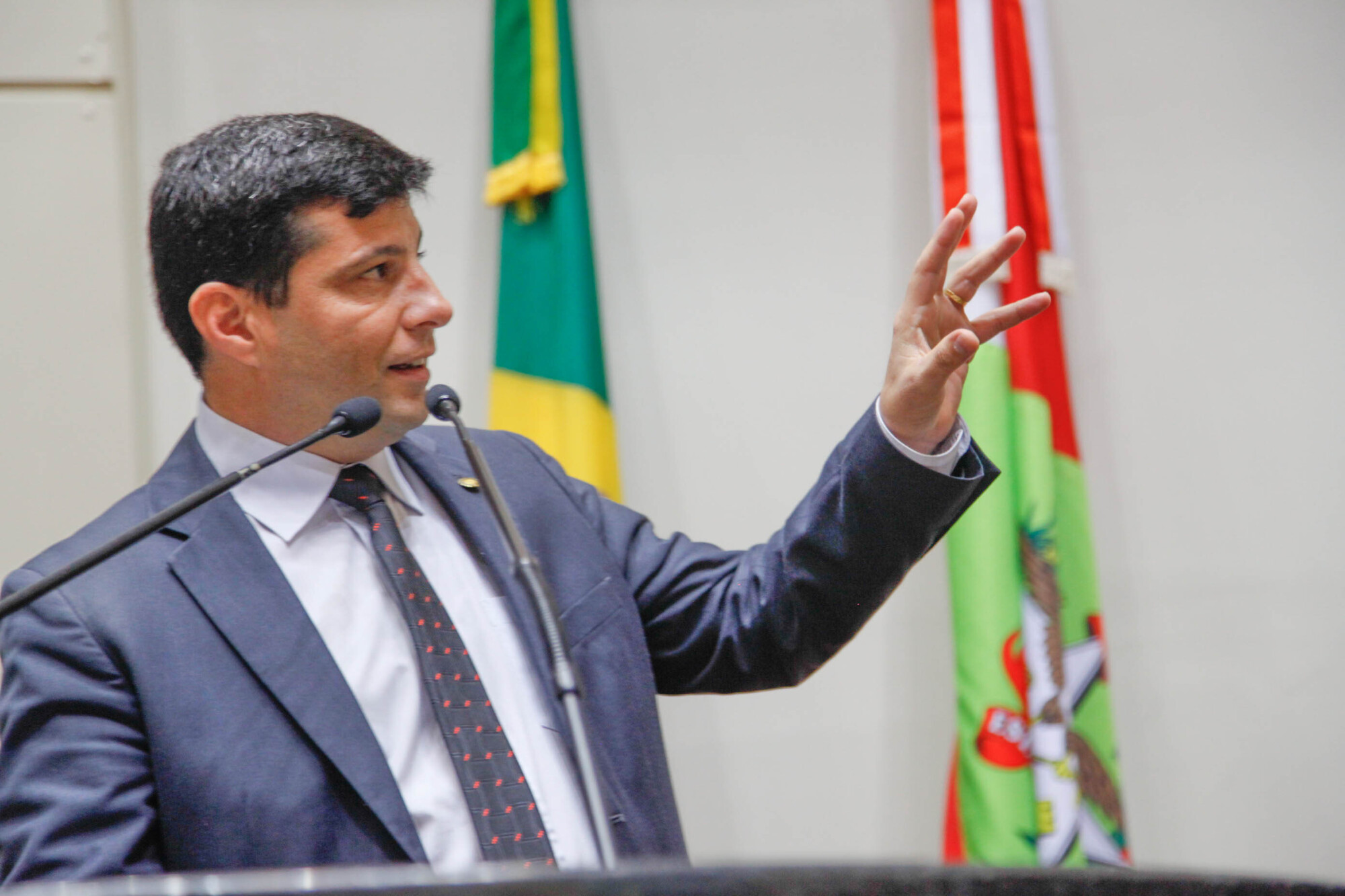 Deputado Fábio Flôr