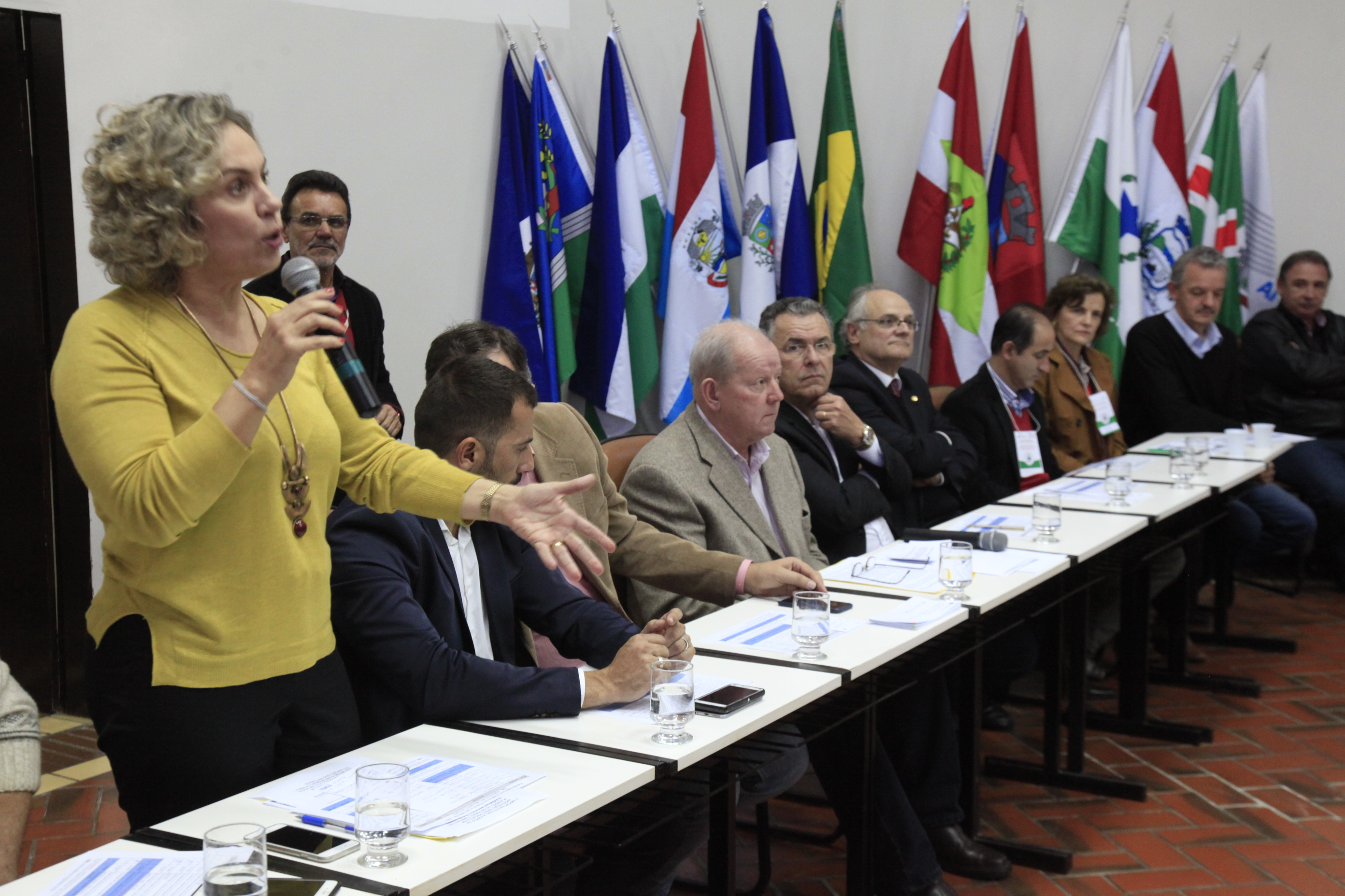 Audiência Pública Regional - Lei de Diretrizes Orçamentárias (LDO) 2016 para a Lei Orçamentária Anual (LOA) 2017 - Joinville/SC. Deputada Ana Paula Lima (PT)