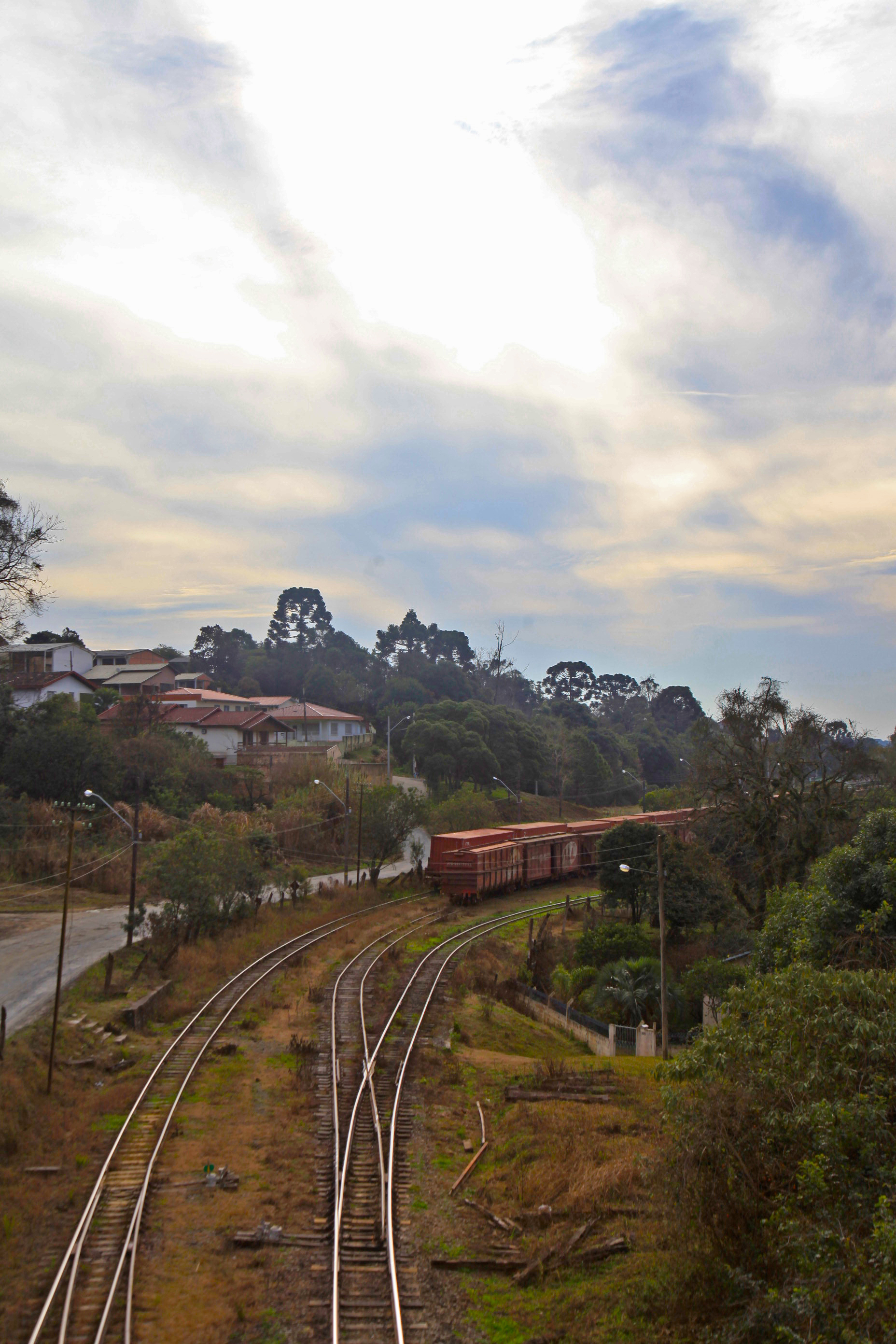 Centenário de Mafra.