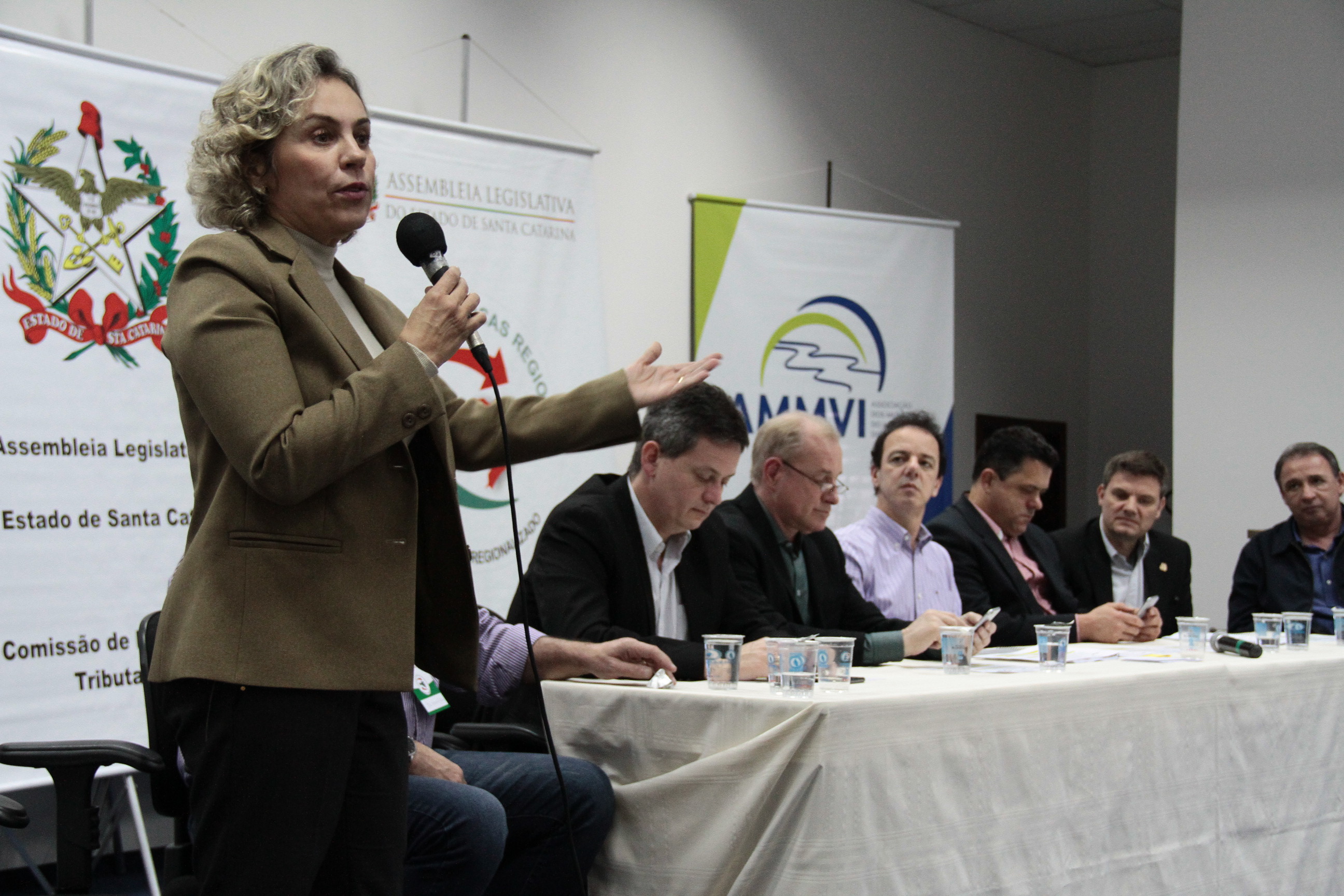 Audiência Pública Regional - Blumenau. Deputada Ana Paula Lima (PT)