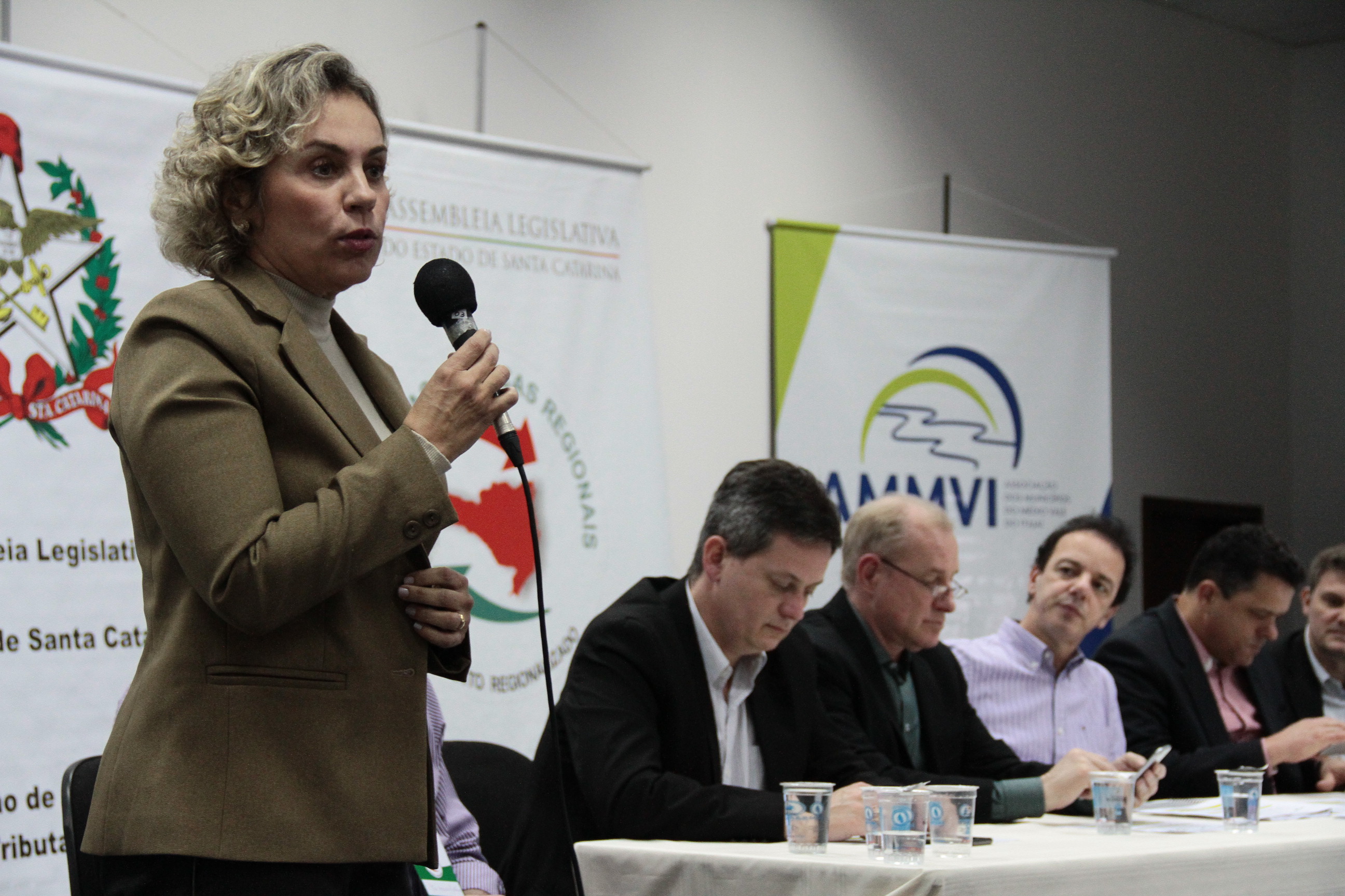 Audiência Pública Regional - Blumenau. Deputada Ana Paula Lima (PT)