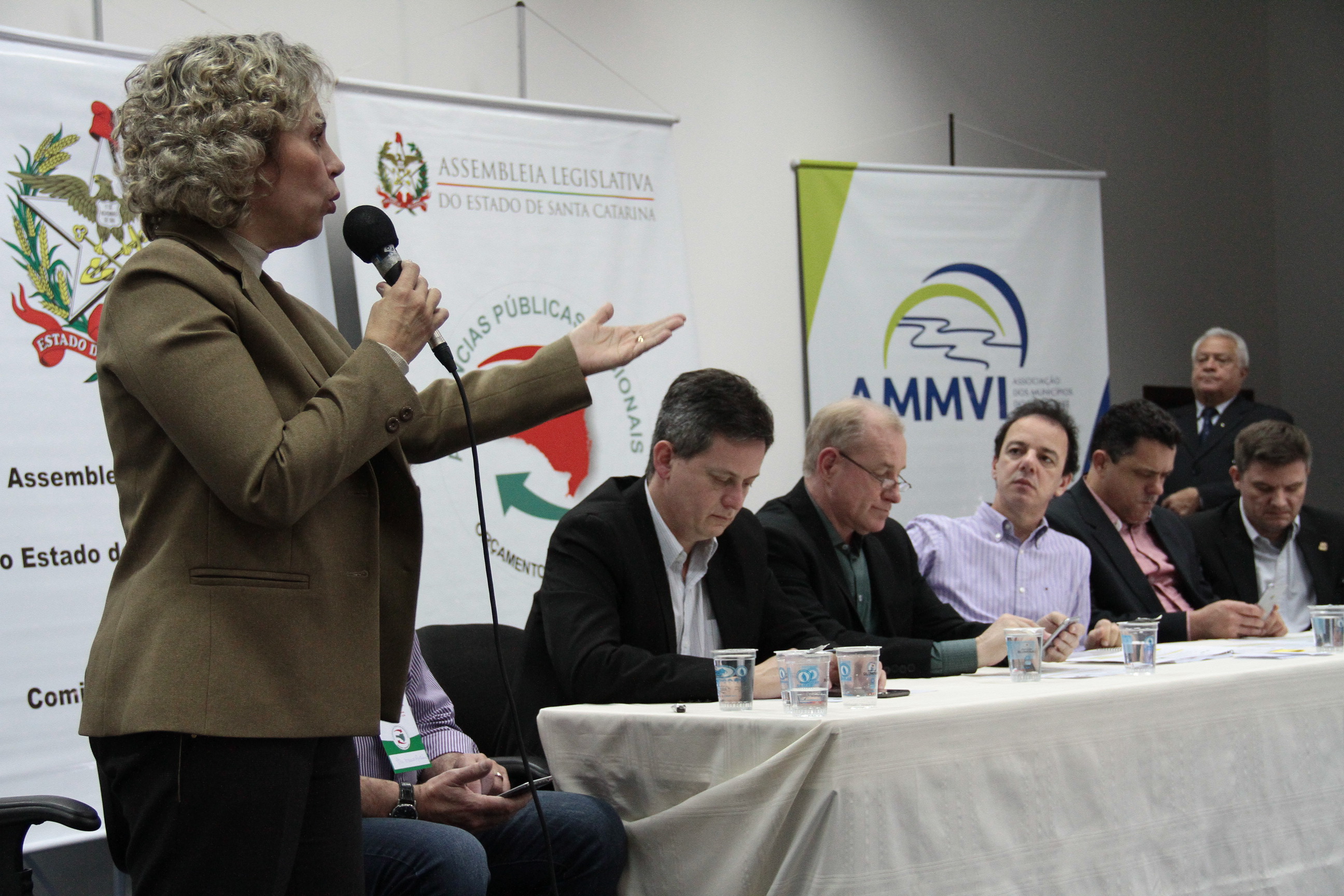 Audiência Pública Regional - Blumenau. Deputada Ana Paula Lima (PT)