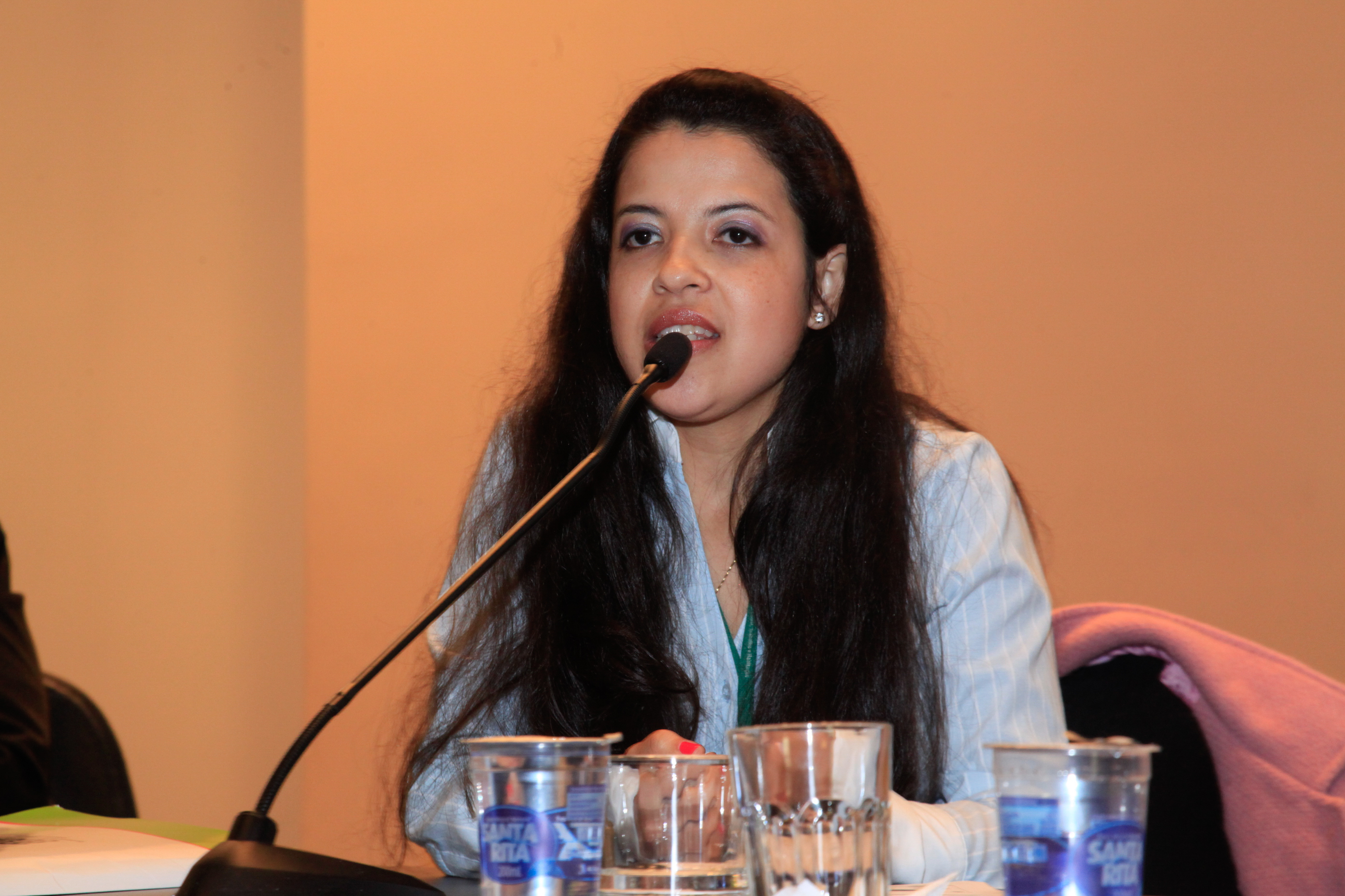 Seminário de Assistência Social. Viviane Maria Portier Fernandes.