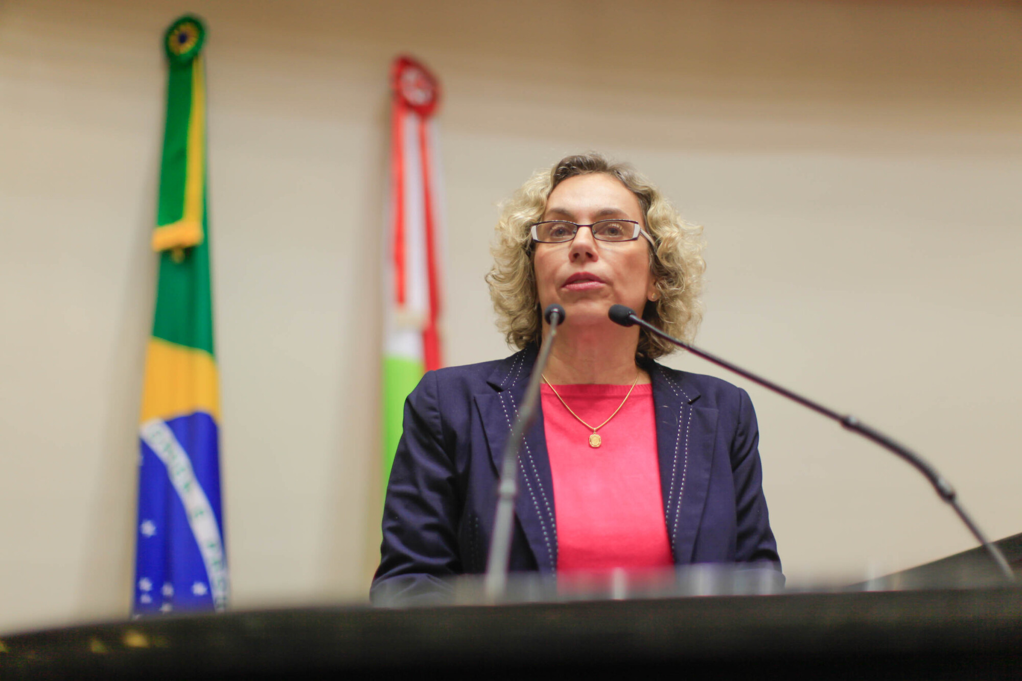 Deputada Ana Paula Lima