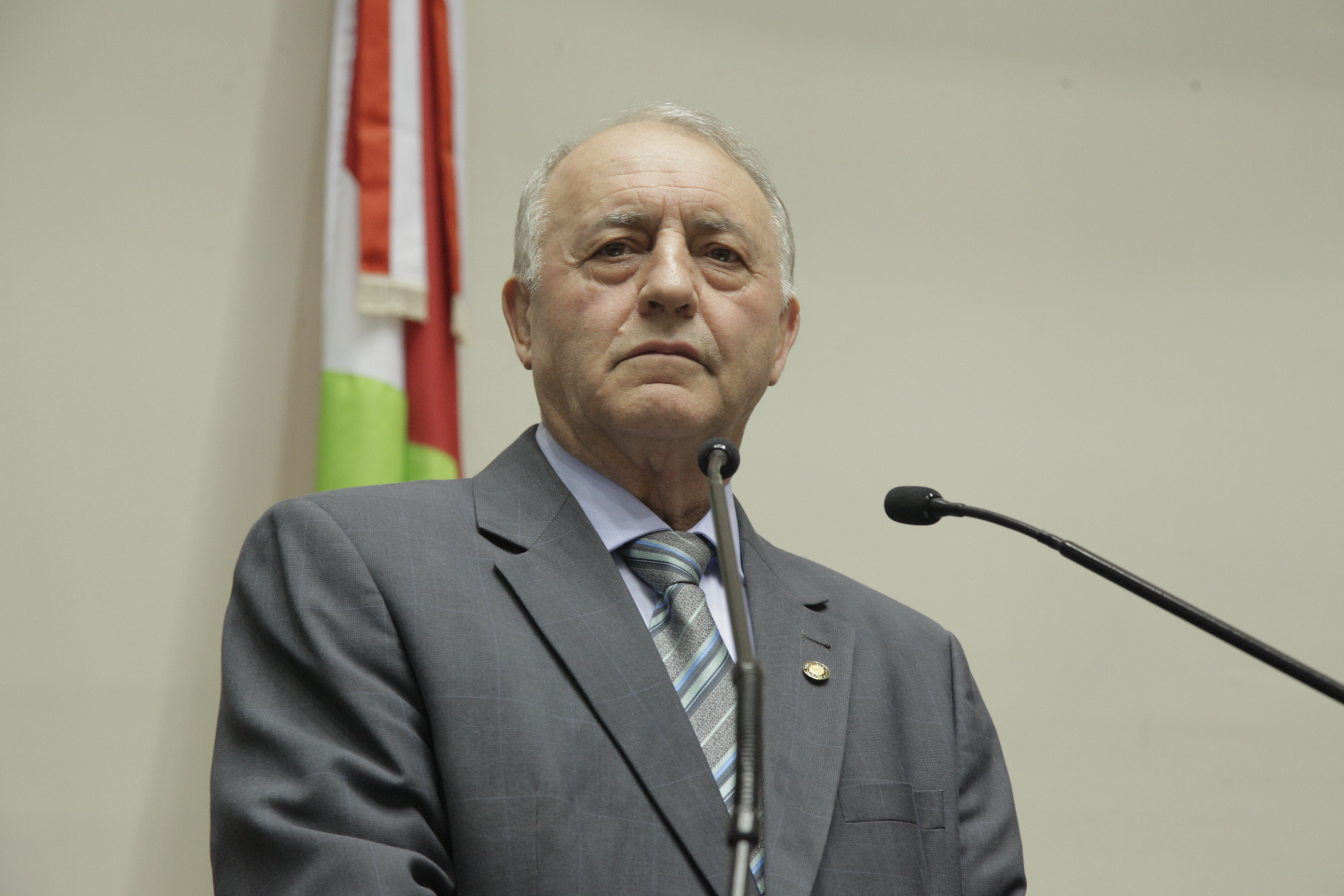 Sessão Ordinária. Deputado Natalino Lazare (PR)
