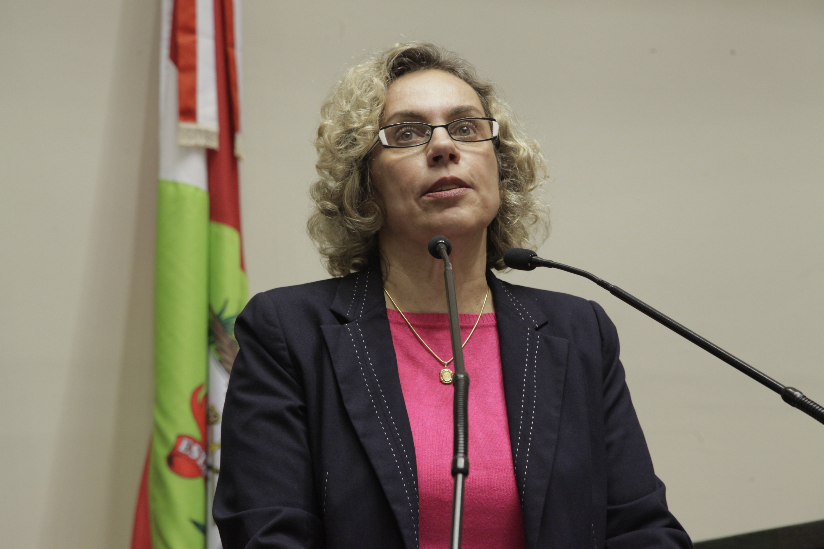 Sessão Ordinária Deputada Ana Paula Lima (PT).
