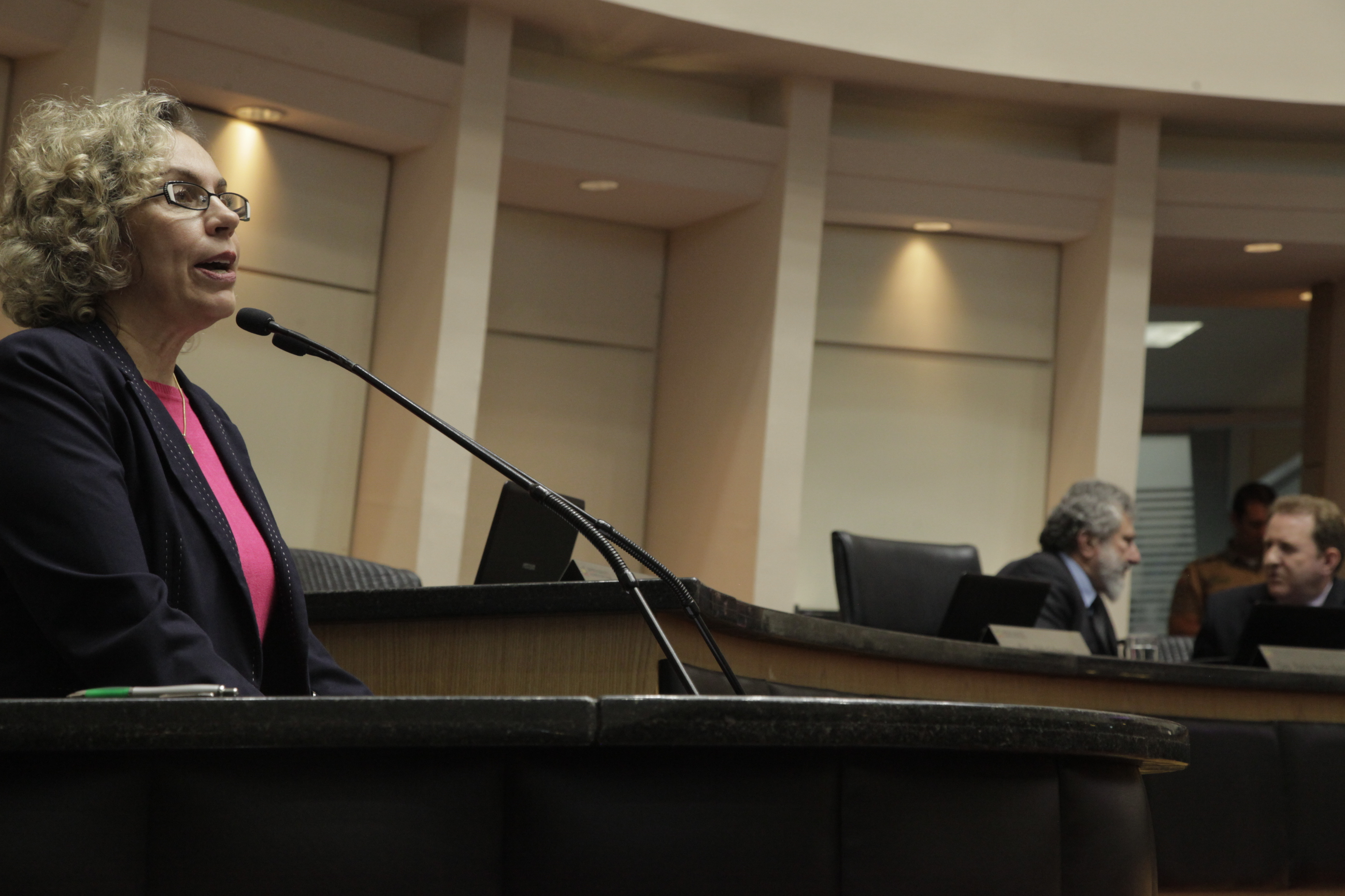 Sessão Ordinária. Deputada Ana Paula Lima (PT).