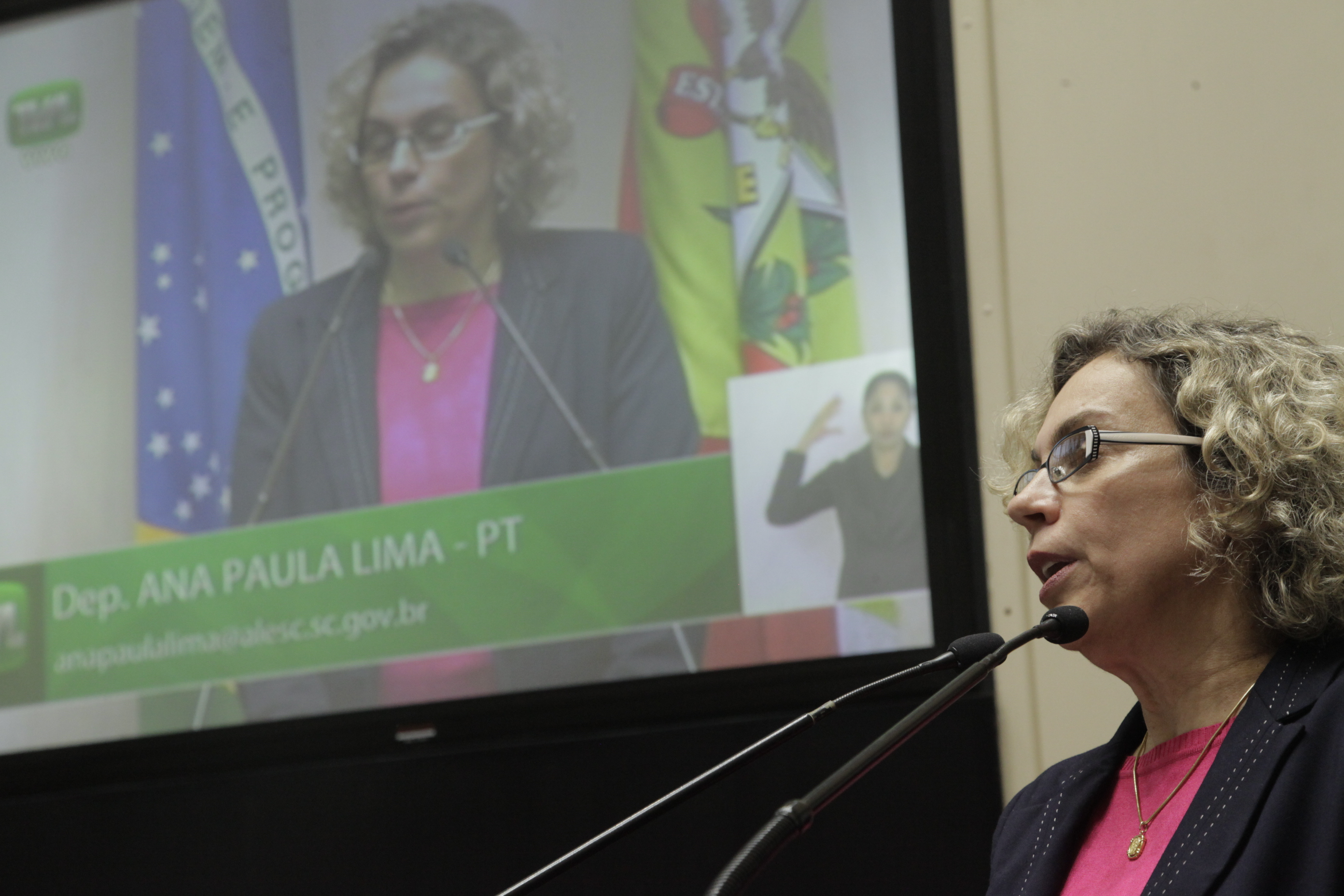 Sessão Ordinária. Deputada Ana Paula Lima (PT).