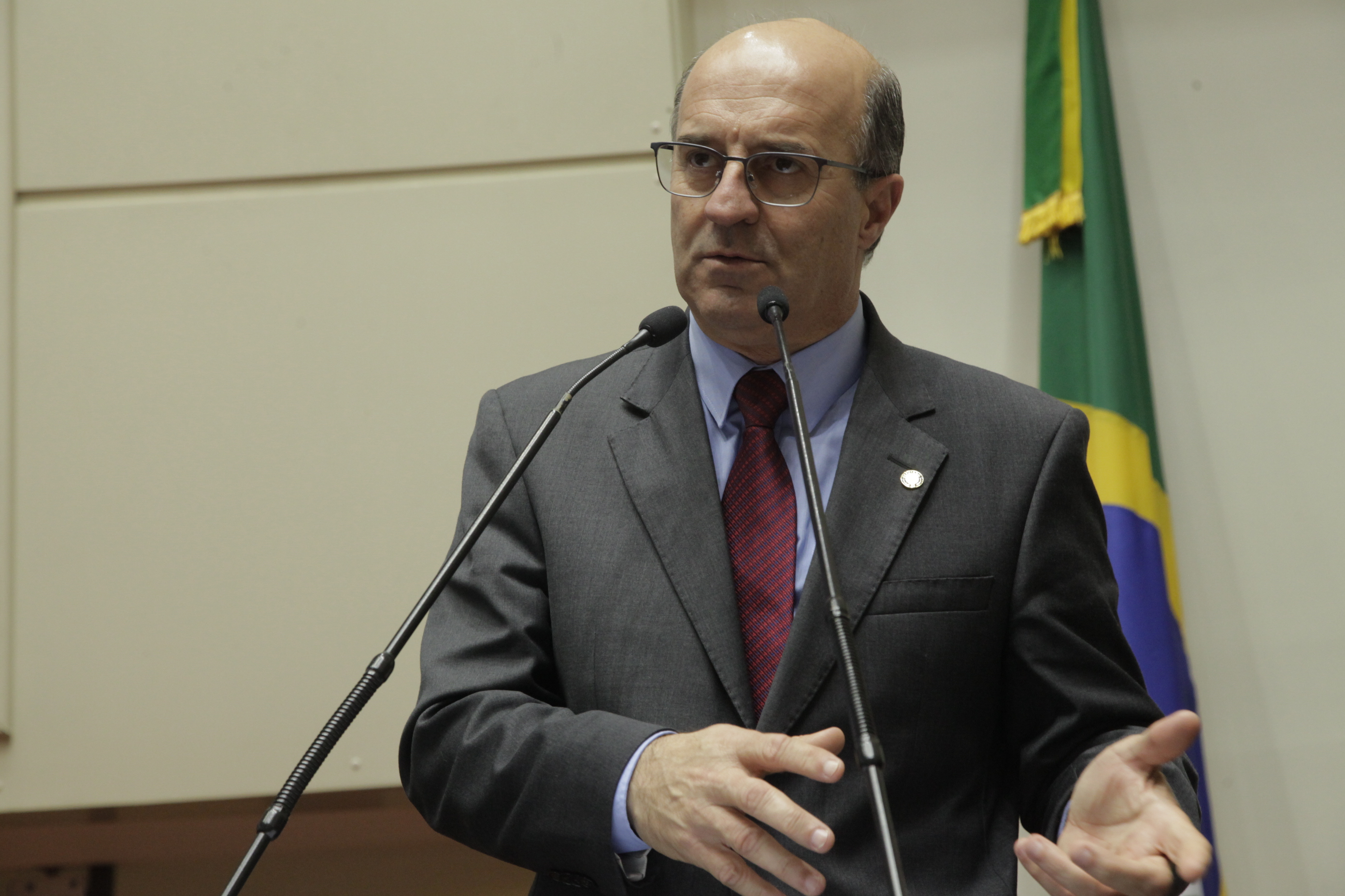 Sessão Ordinária. Deputado Milton Scheffer (PP).