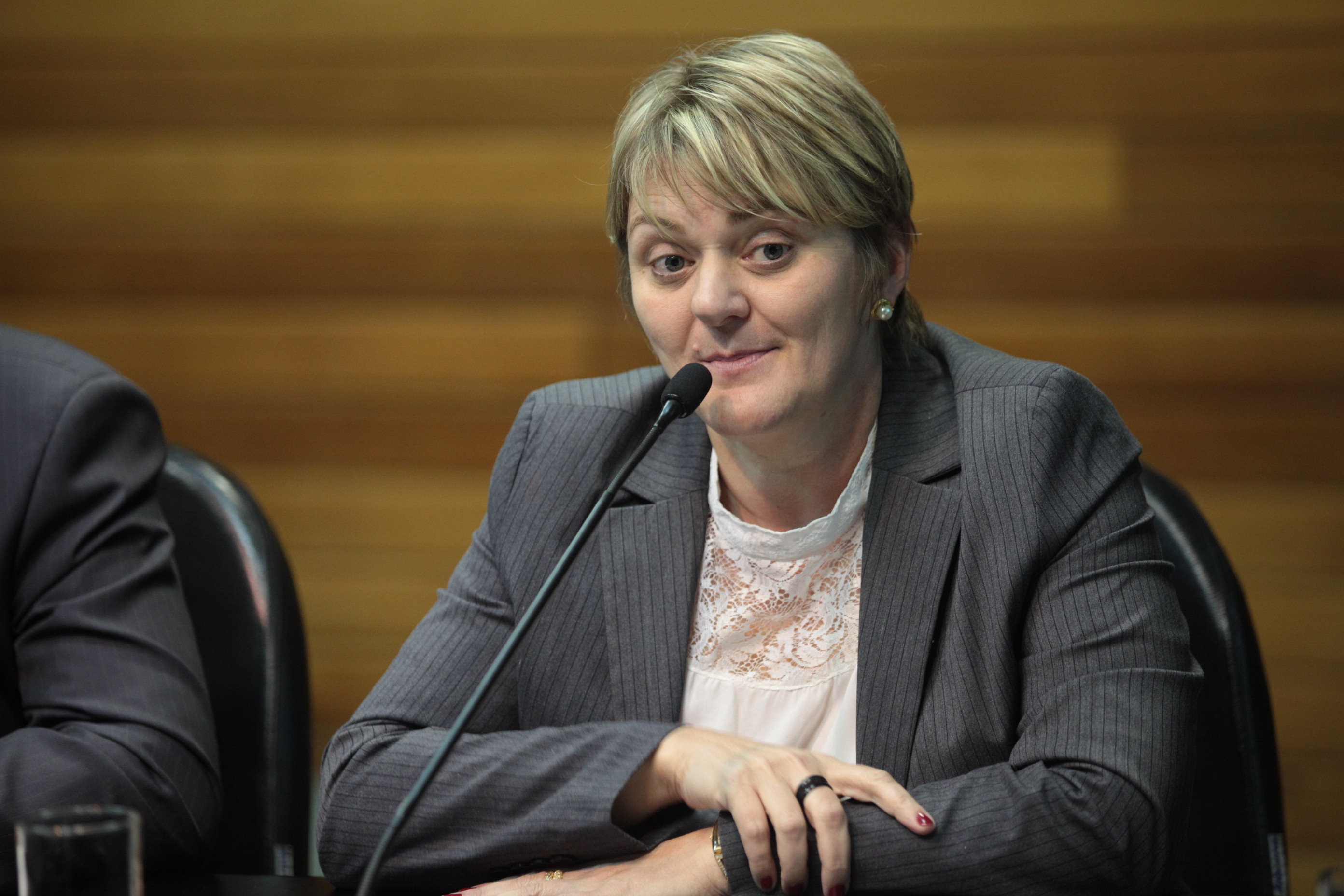 Frente Parlamentar - Portos e Aeroportos - Deputada Luciane Carminatti (PT).