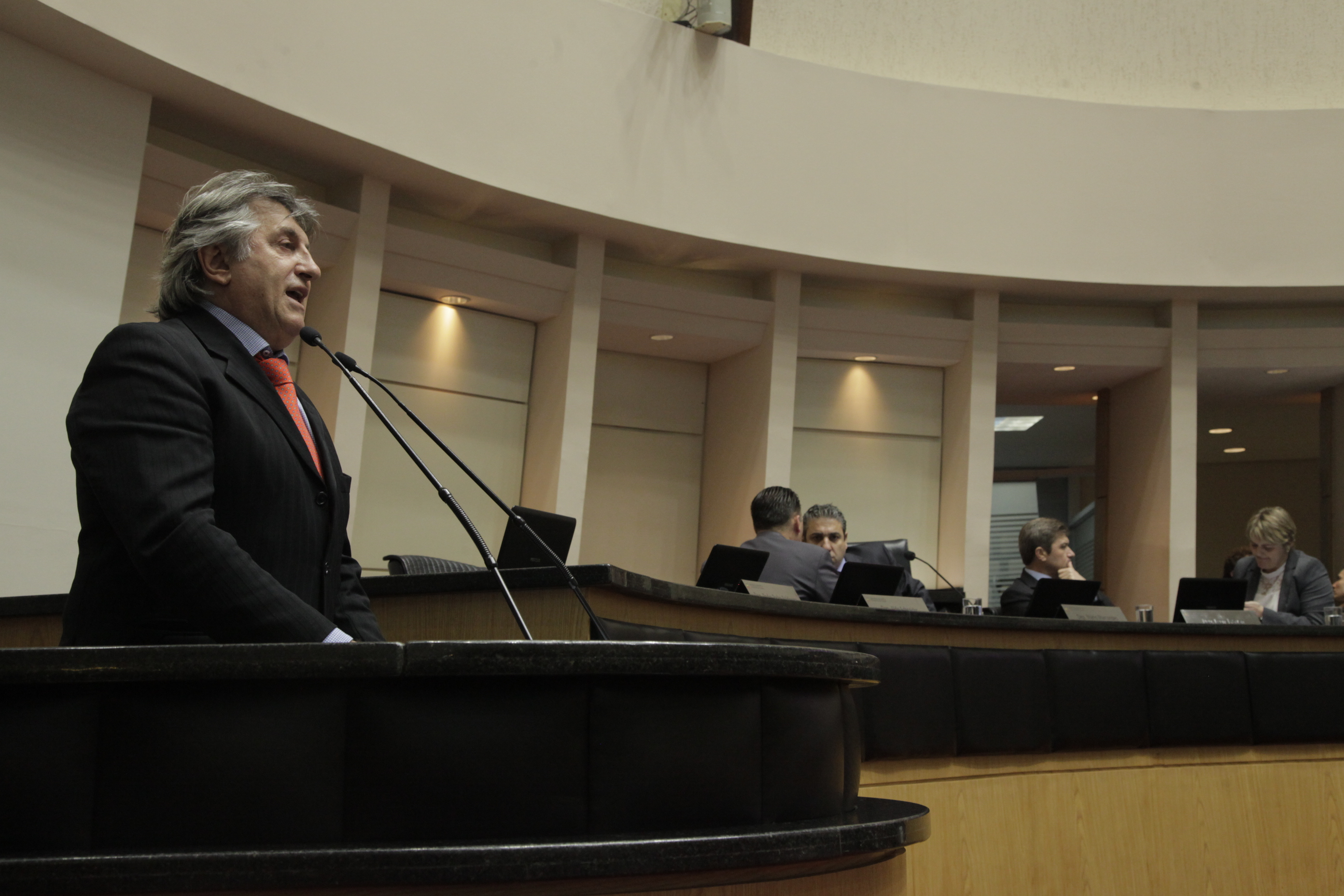 Sessão Ordinária. Deputado Leonel Pavan (PSD).