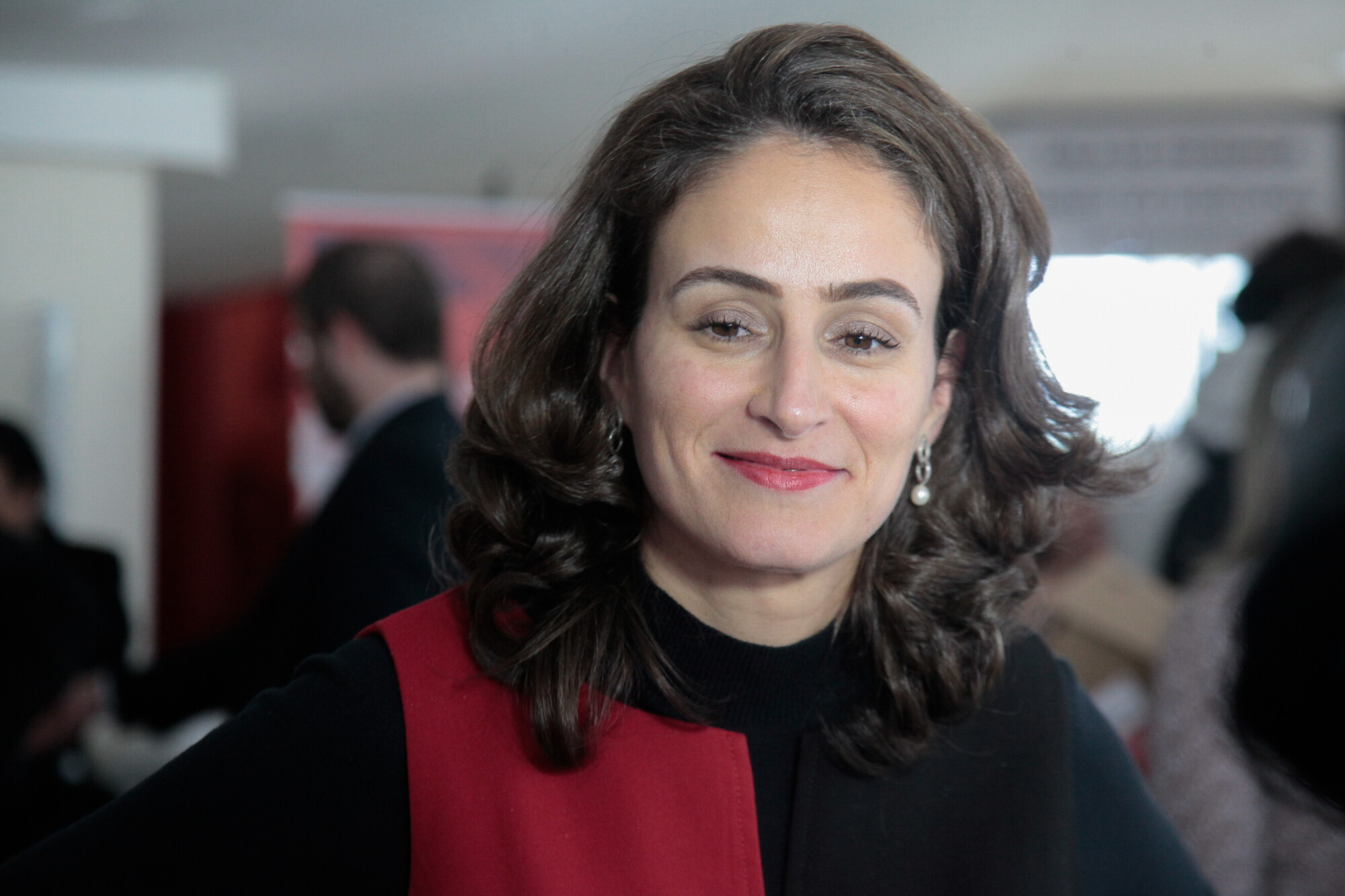 Professora Eneida Salgado, da UFPR