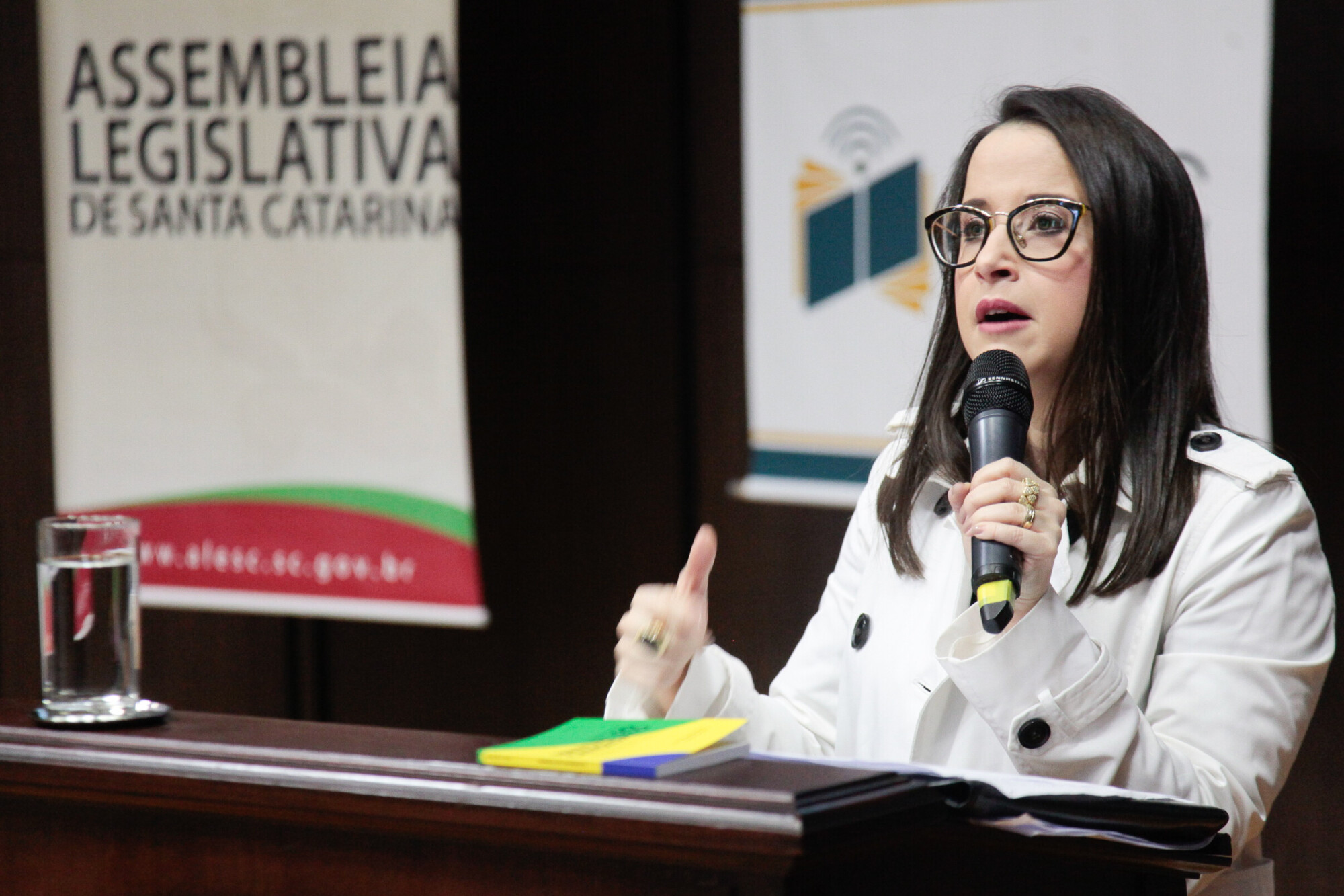 Advogada Gabriela Rollemberg, especialista em Direito Eleitoral
