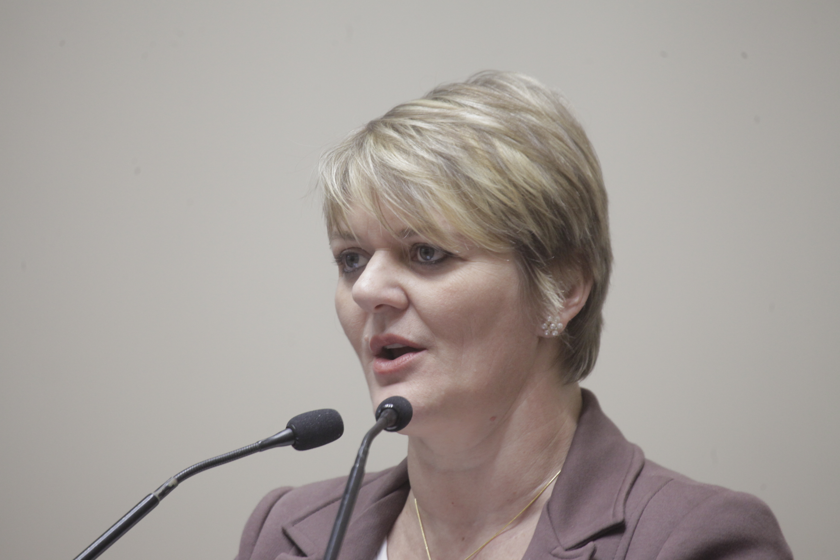 Sessão Ordinária. Deputada Luciane Carminatti (PT).