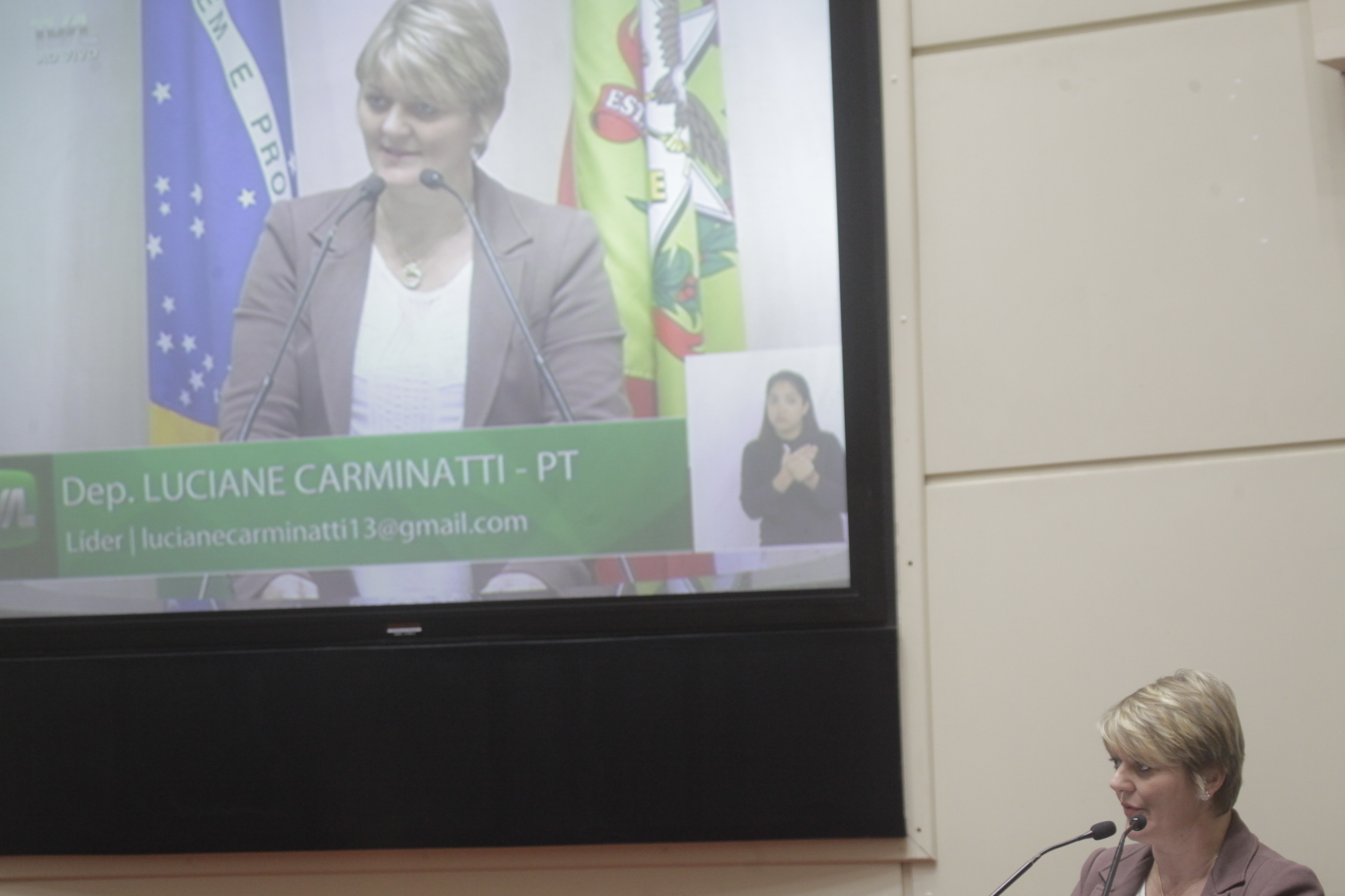 Sessão Ordinária. Deputada Luciane Carminatti (PT).