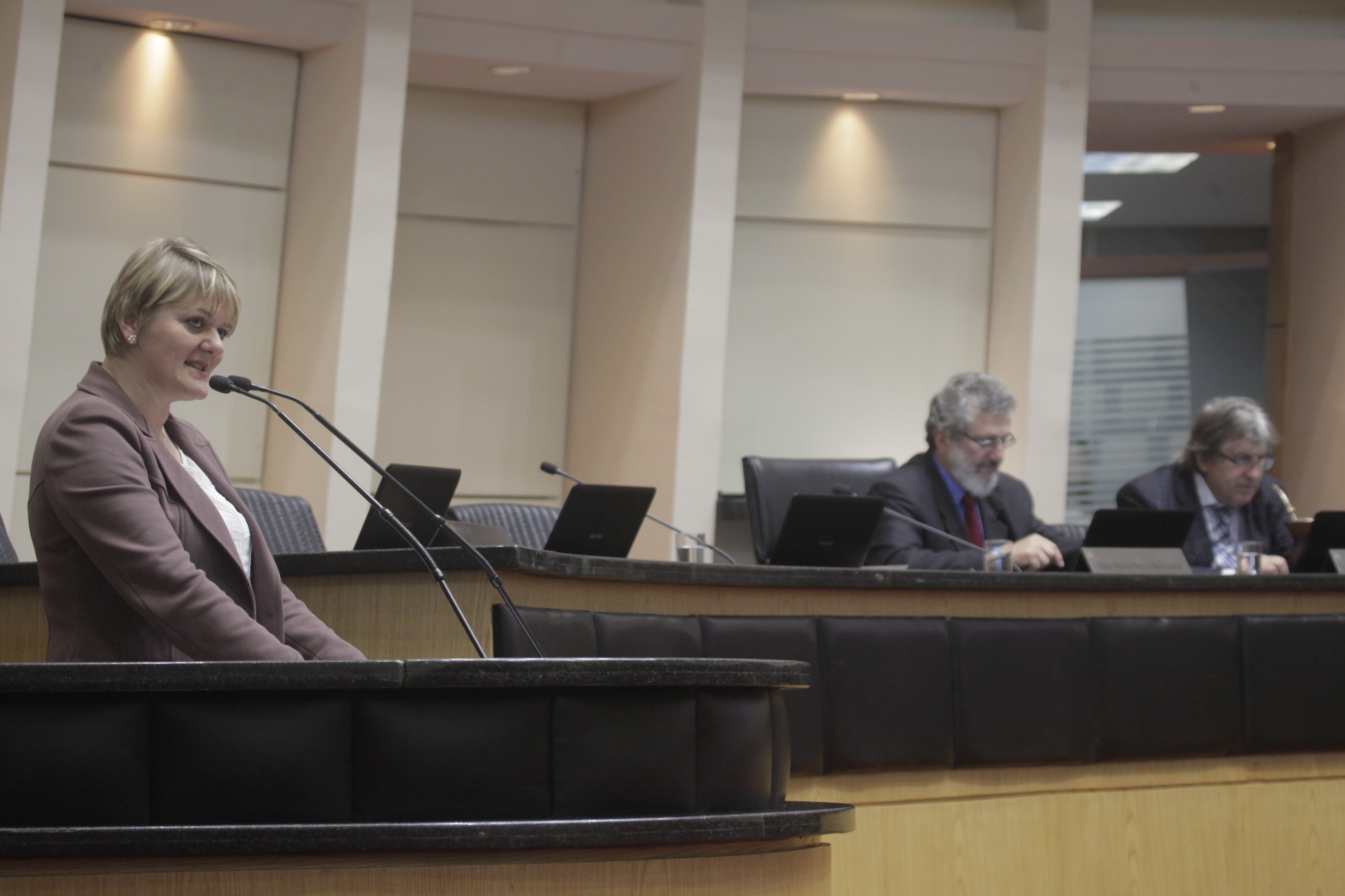 Sessão Ordinária. Deputada Luciane Carminatti (PT).