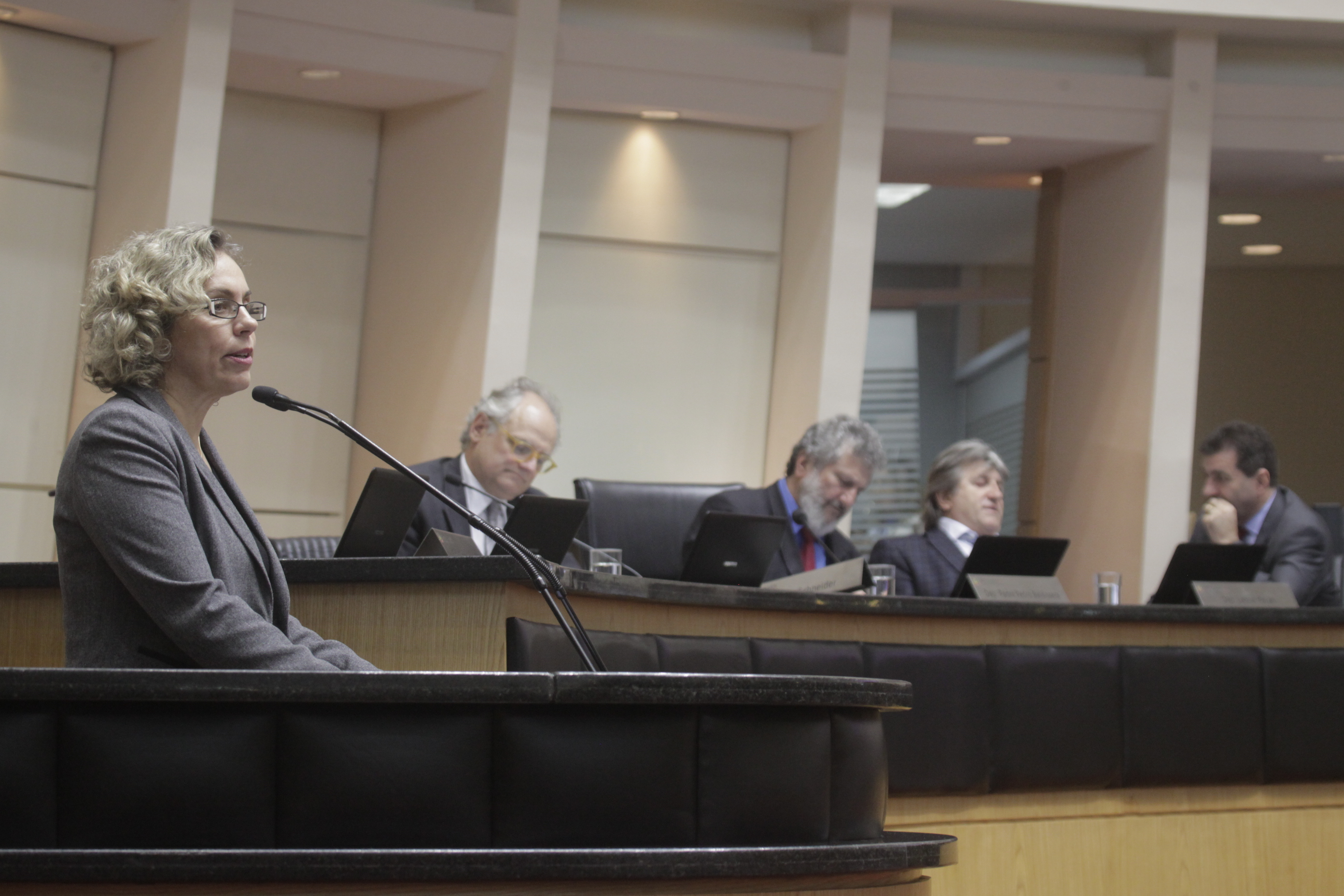 Sessão Ordinária. Deputada Ana Paula Lima (PT).
